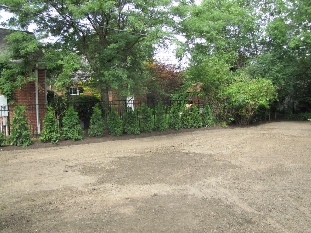 Empty dirt lot beside a brick wall and leafy trees