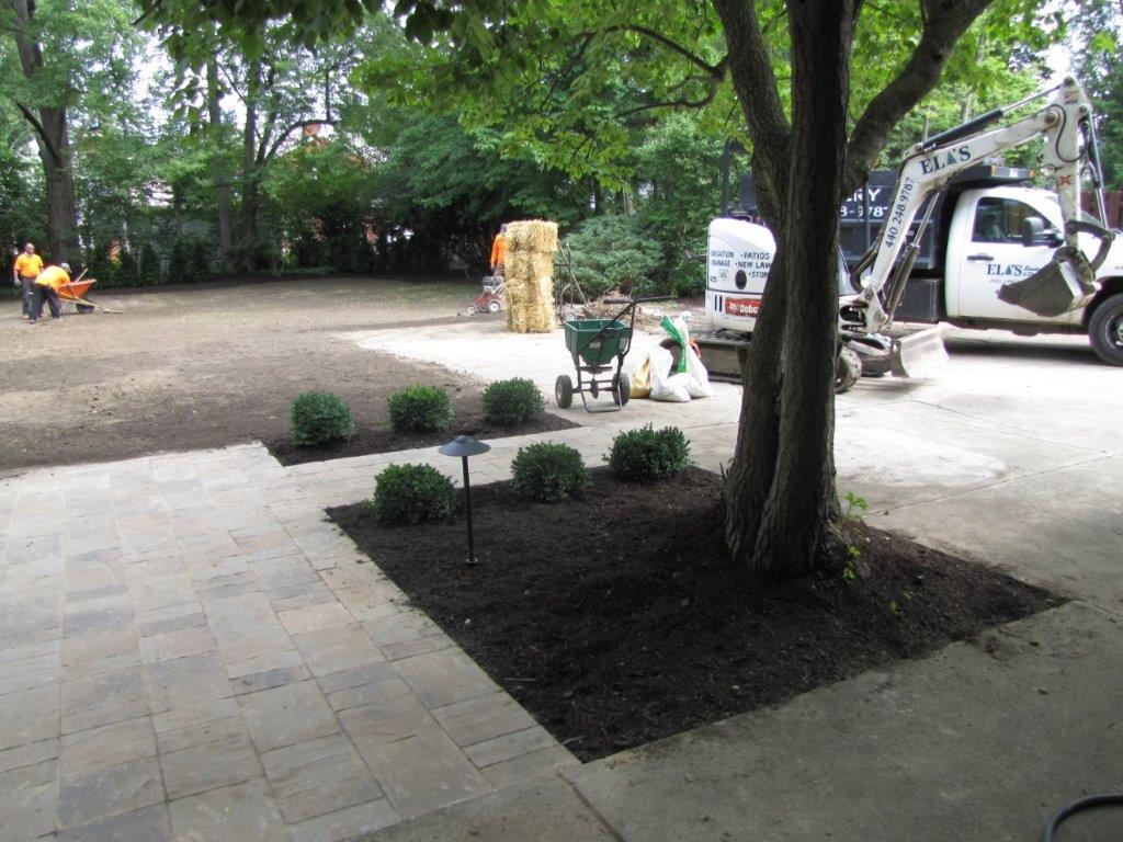 Park walkway with trees, shrubs, a potted plant, and parked vehicles in the background.