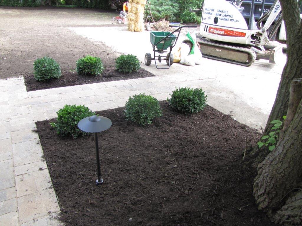 Small landscaped garden bed with dark mulch, shrubs, a tree, and a street cleaner in the background.
