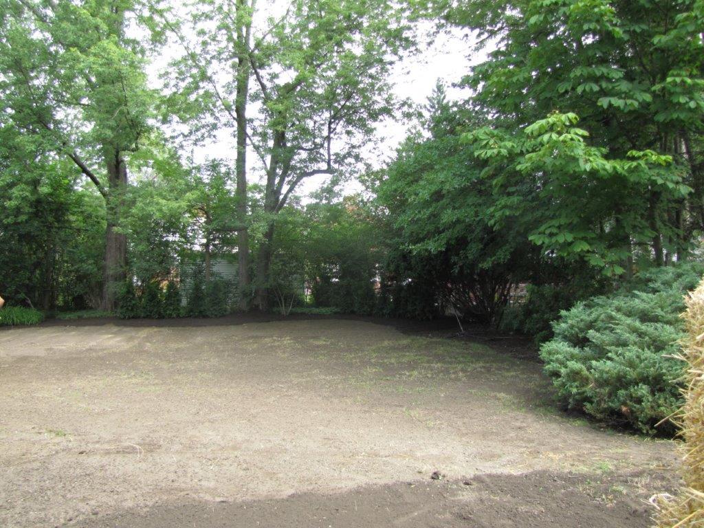 Empty gravel courtyard bordered by dense green trees and shrubs