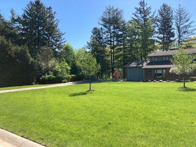 Bright green lawn with young trees, tall evergreens, and a house beside a driveway on a sunny day