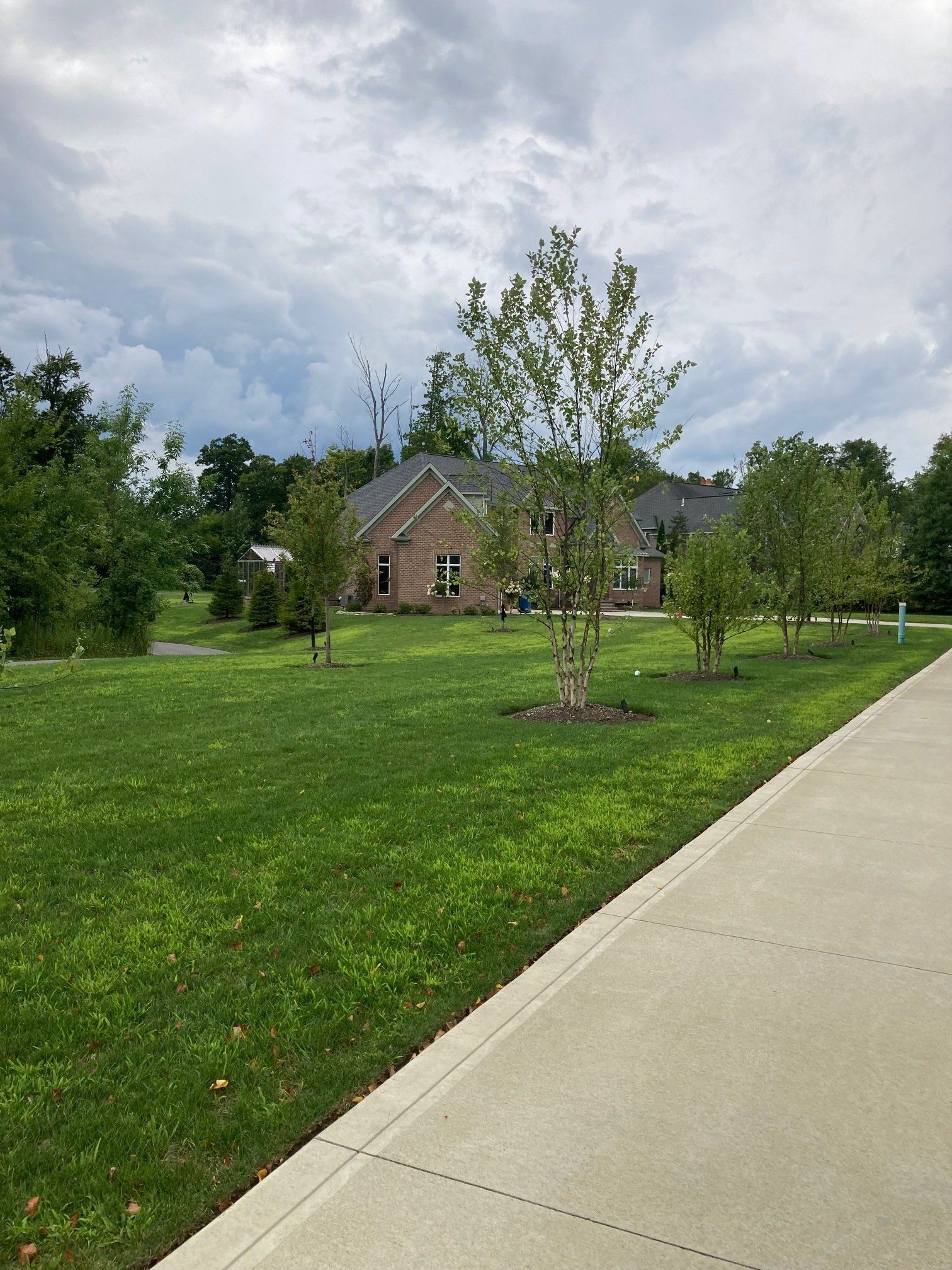 Suburban home with a green lawn and young trees beside a concrete sidewalk under cloudy skies