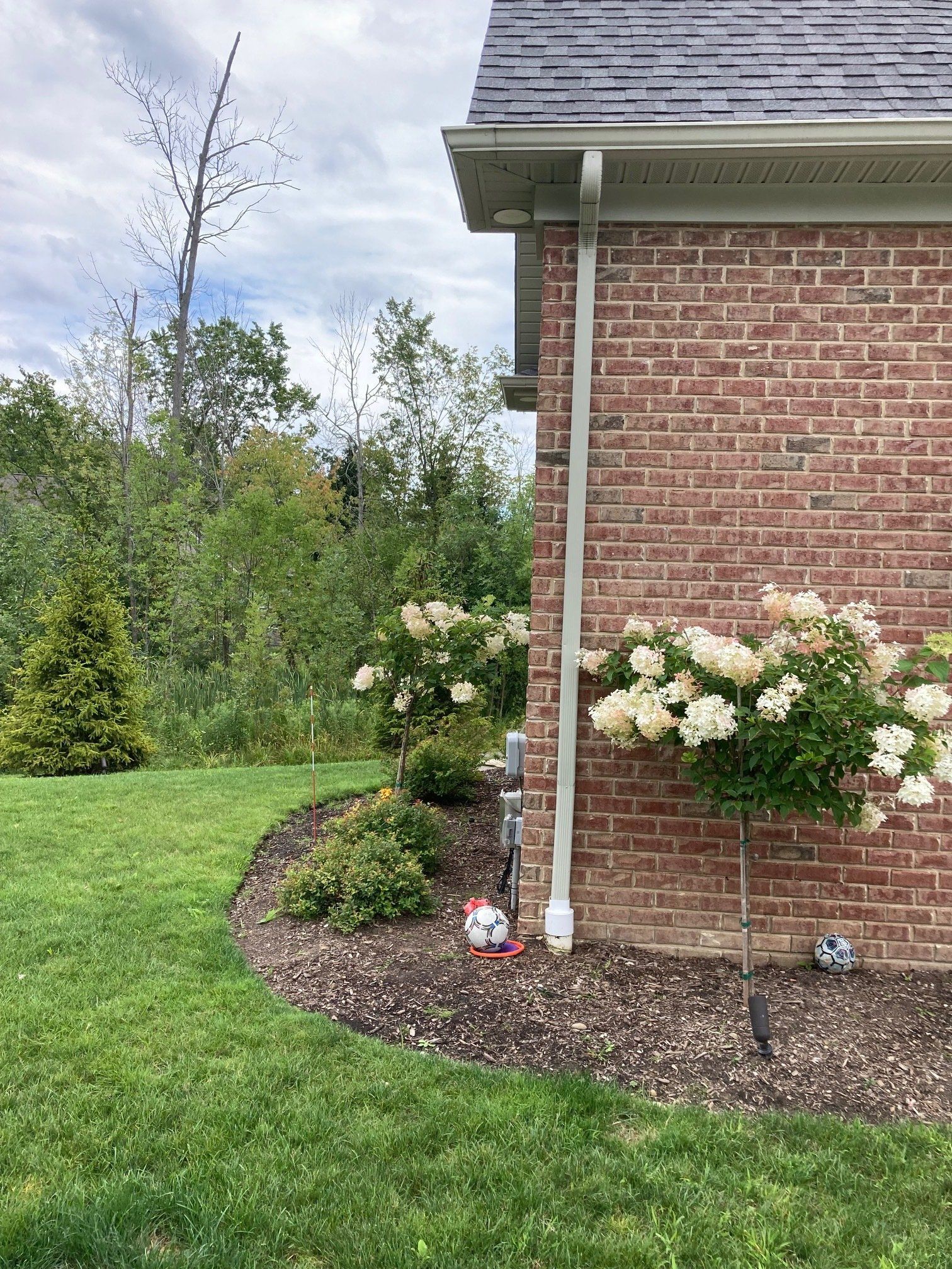 Brick house corner with blooming white hydrangeas, mulched flower bed, and green lawn under cloudy sky