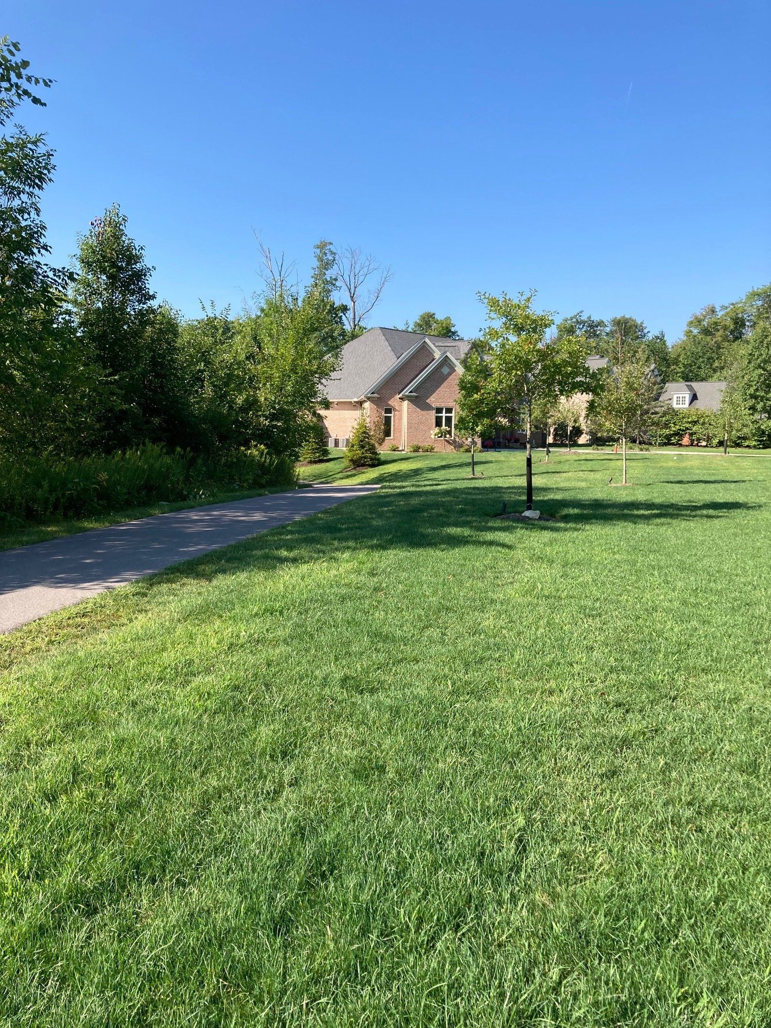 Sunny suburban home with a driveway, green lawn, and trees under a clear blue sky