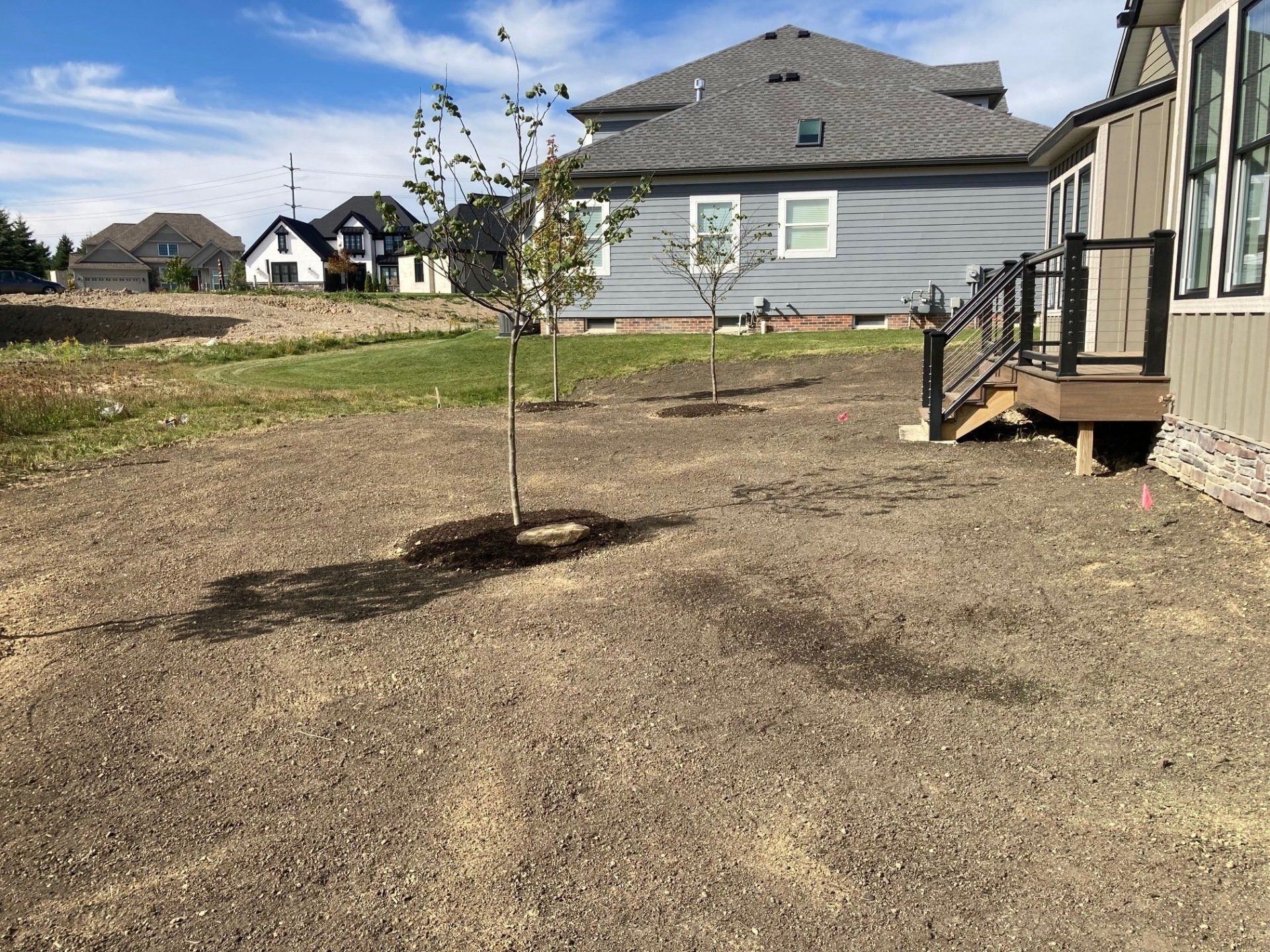 Young tree in a bare backyard beside a gray house and wooden deck under a clear sky