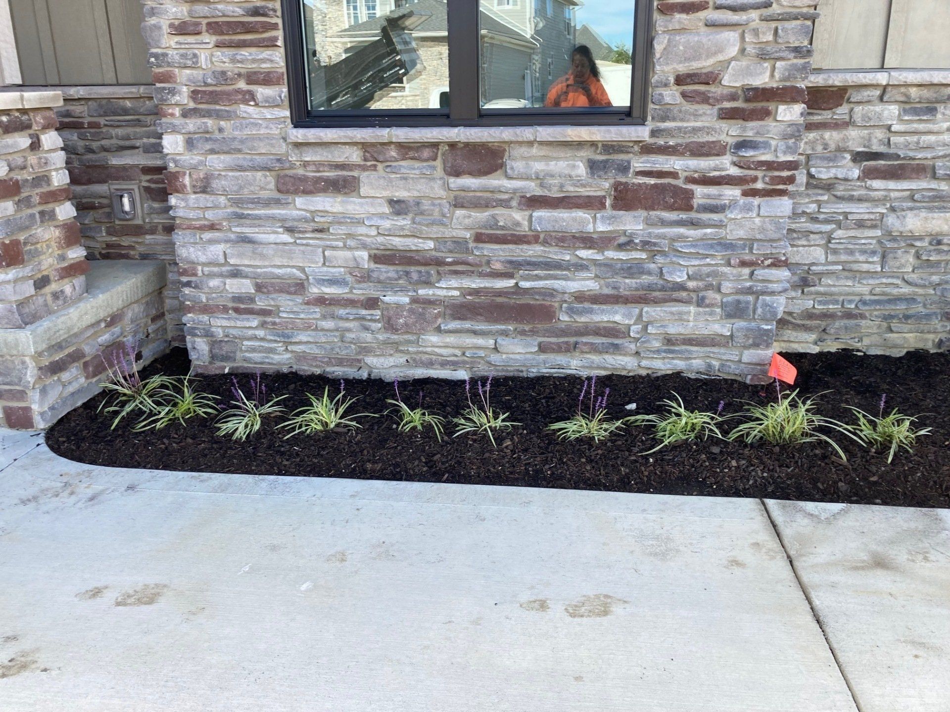 Newly planted flower bed with small green plants along a stone house wall and window.