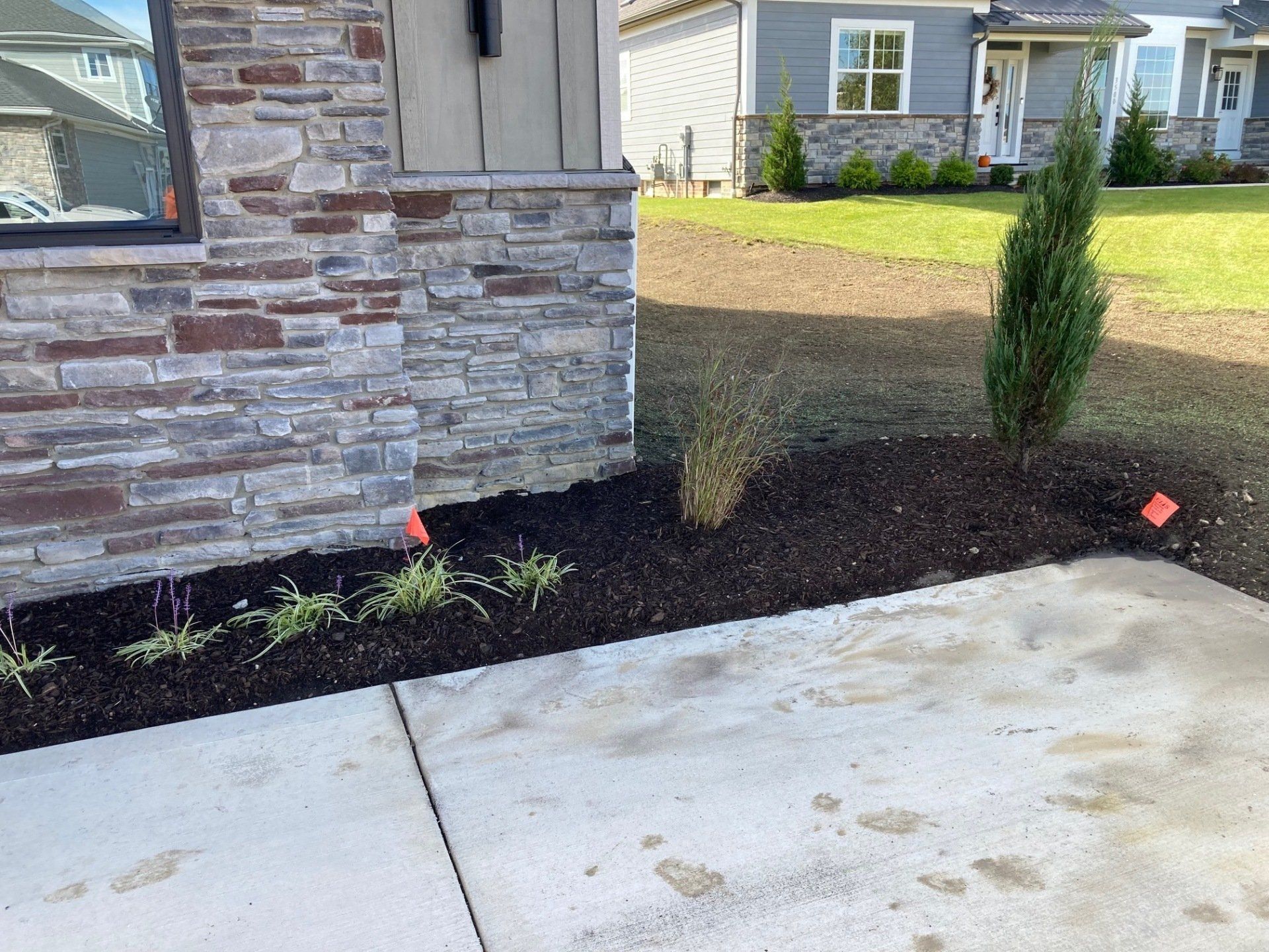 Front yard landscape bed with mulch and small shrubs beside a stone house and concrete walkway