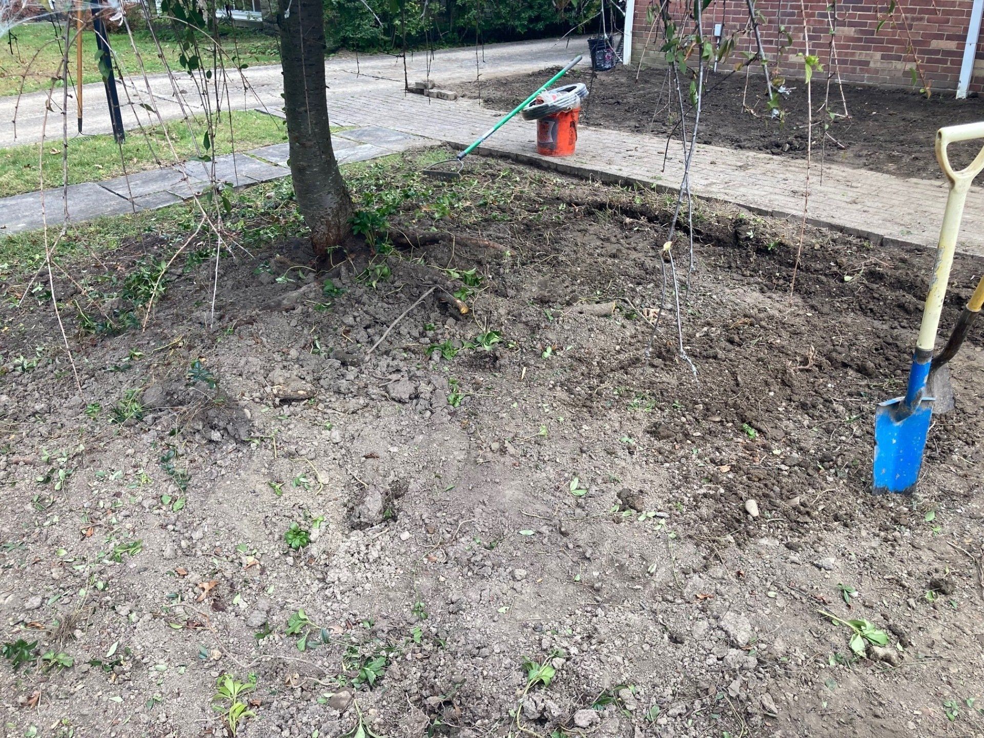 Bare dirt patch by a tree with a blue shovel and orange tool near a walkway and brick building