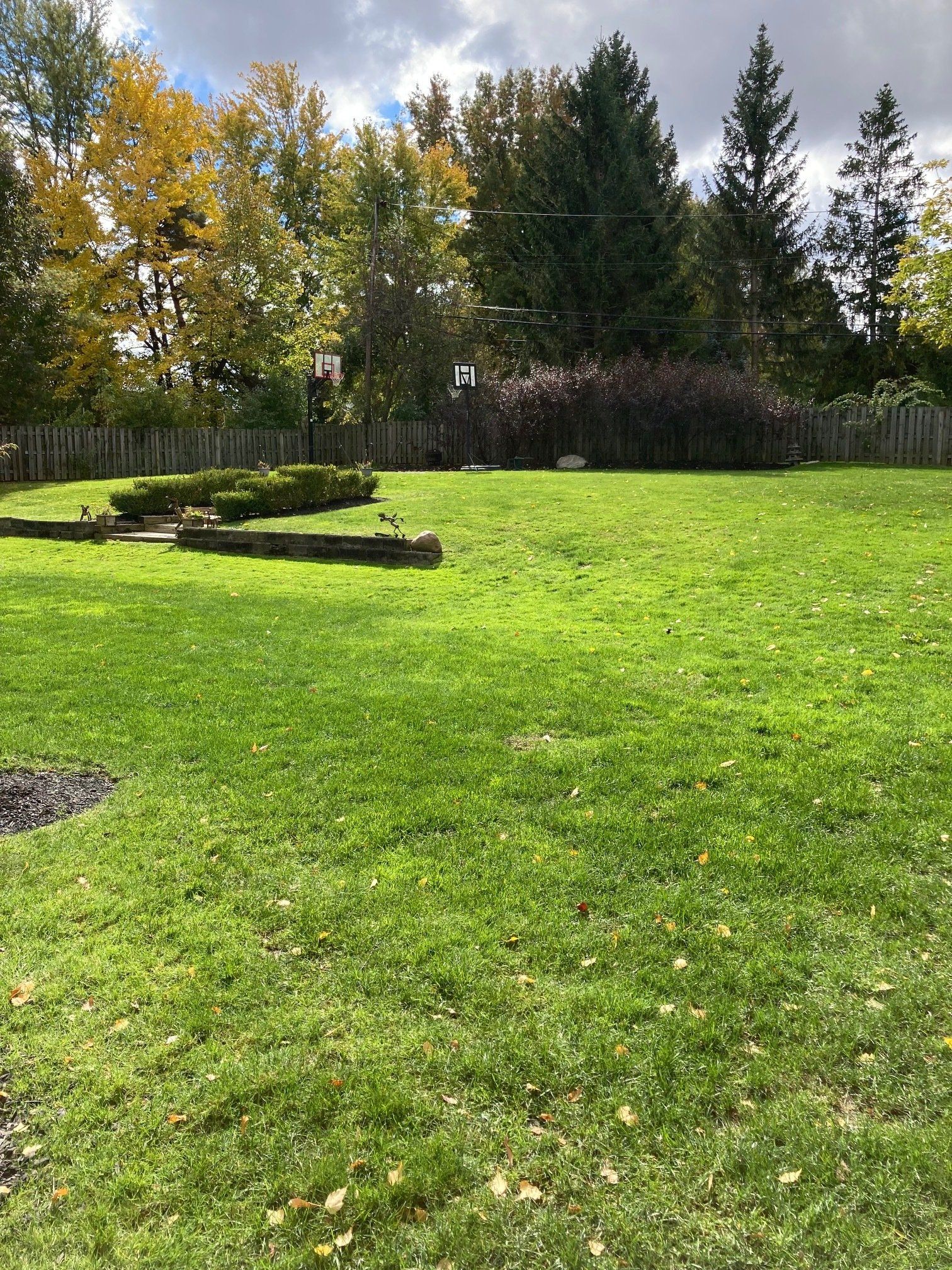 Grassy park with fallen log, shrubs, and tall trees under a bright sky