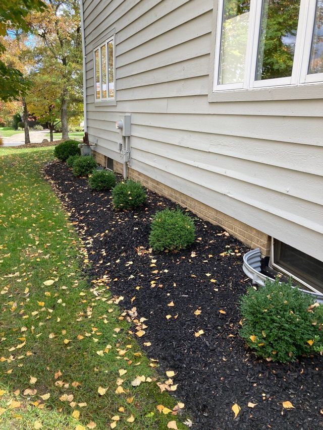 House siding with a mulched foundation bed and small shrubs along a lawn, with fallen leaves.