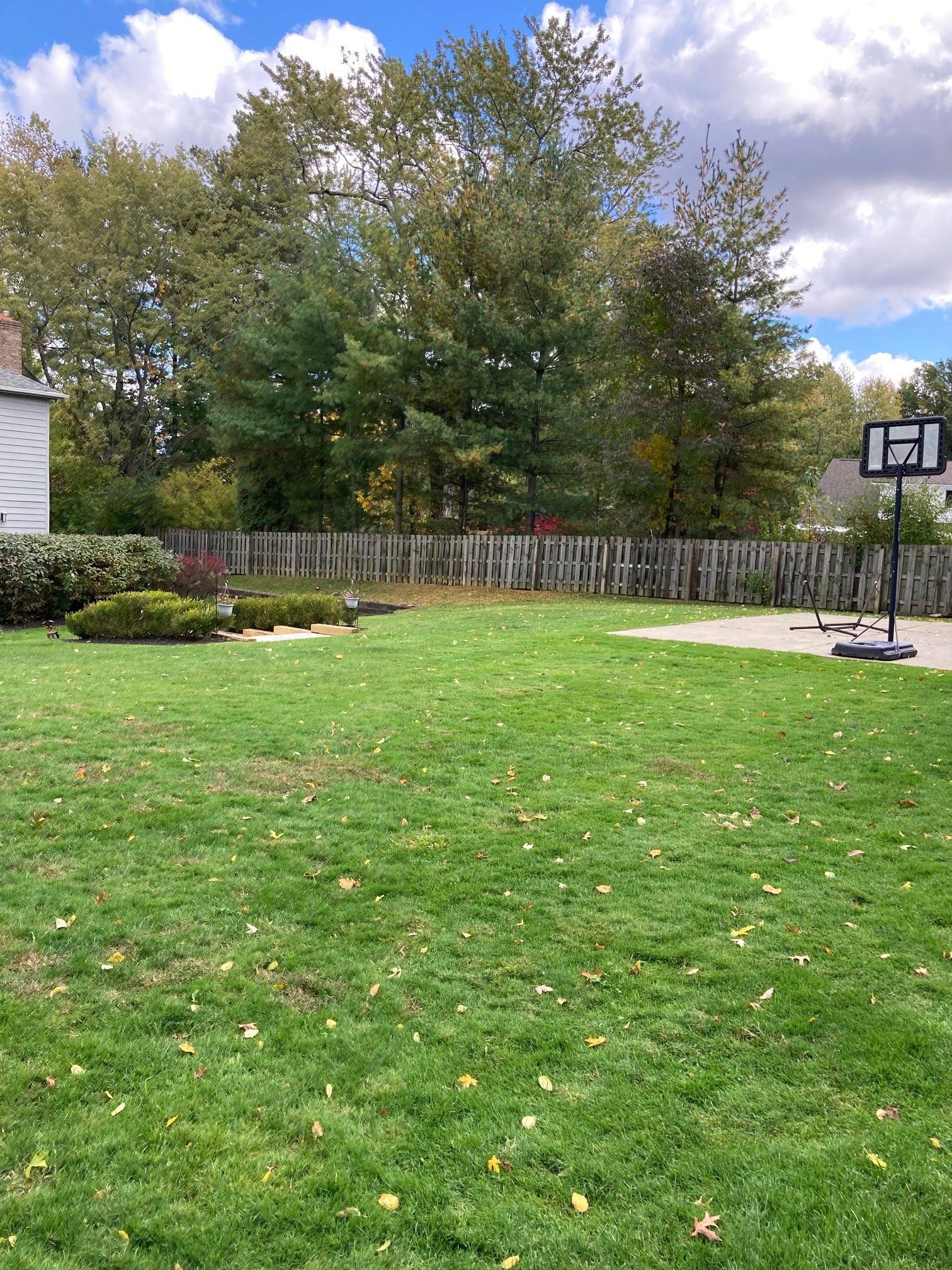 Backyard lawn with a wooden fence, trees, and a portable basketball hoop under a cloudy sky