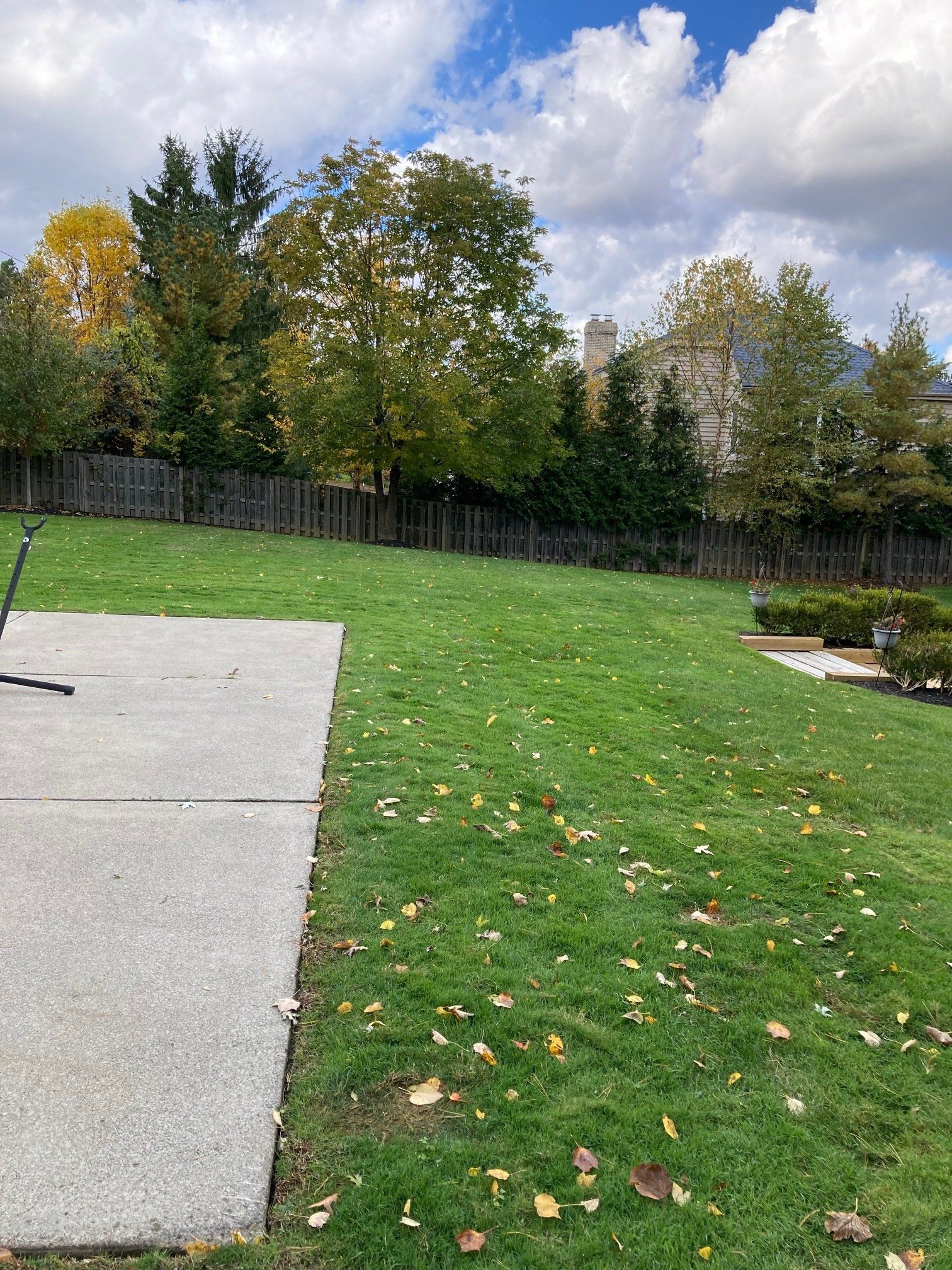Backyard lawn with concrete patio, scattered leaves, and trees along a fence
