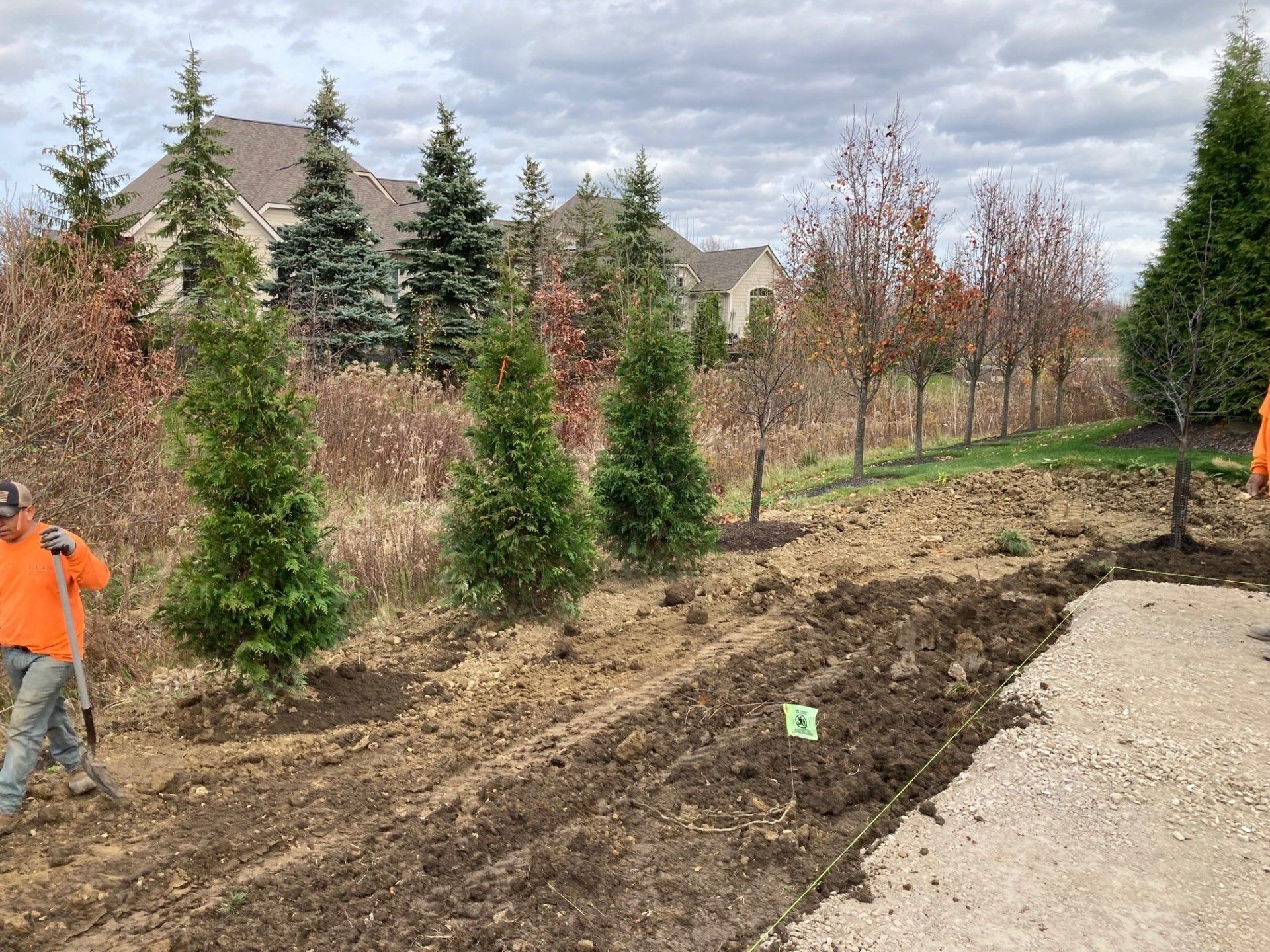 Worker planting evergreen trees along a landscaped path under cloudy skies