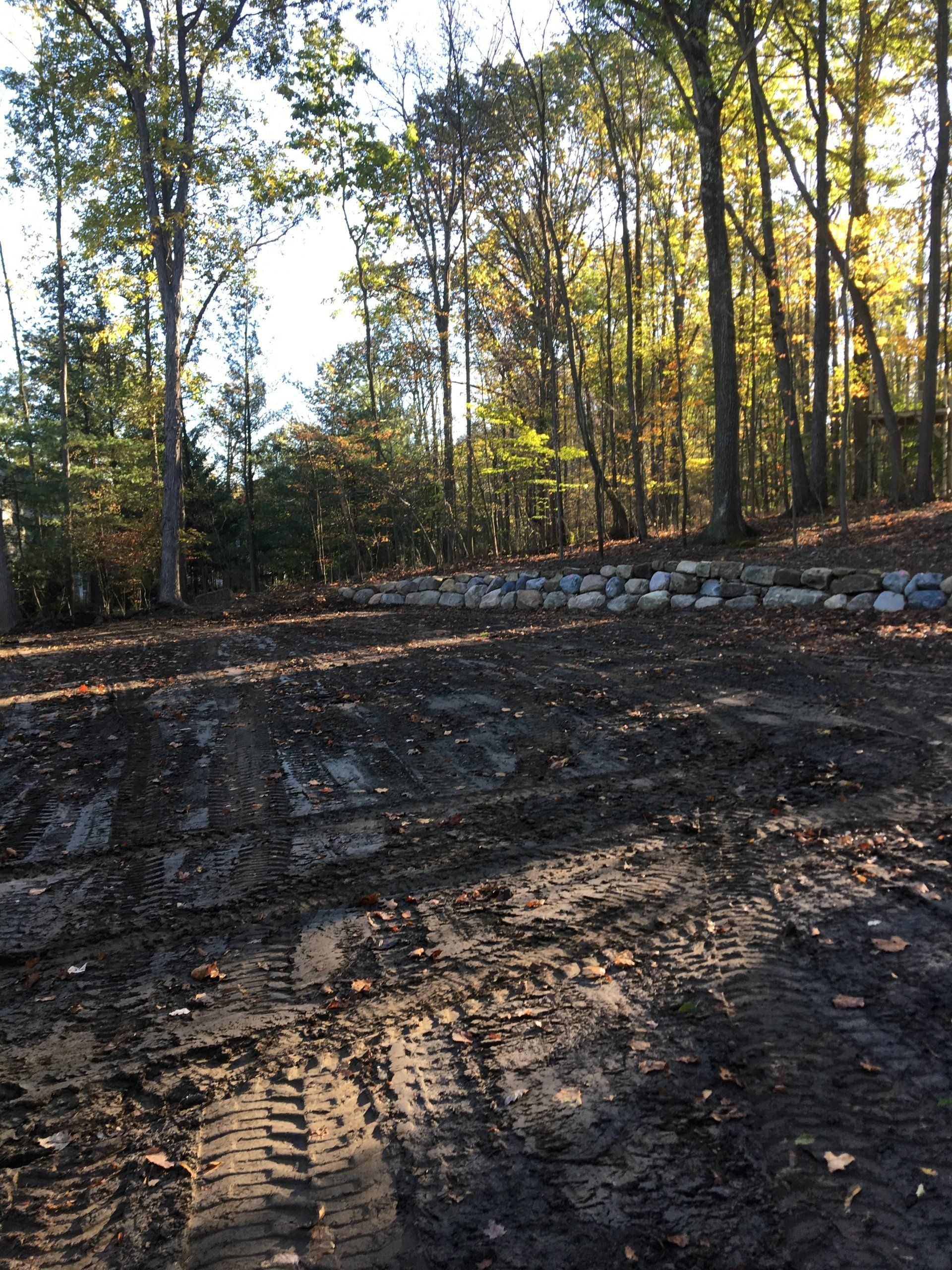 Muddy dirt road through a wooded area with tall trees and sunlight filtering through.