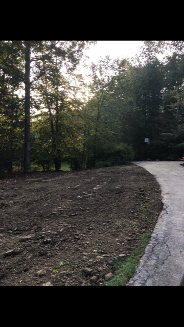 Curved paved path beside a freshly cleared dirt area and trees in a wooded park