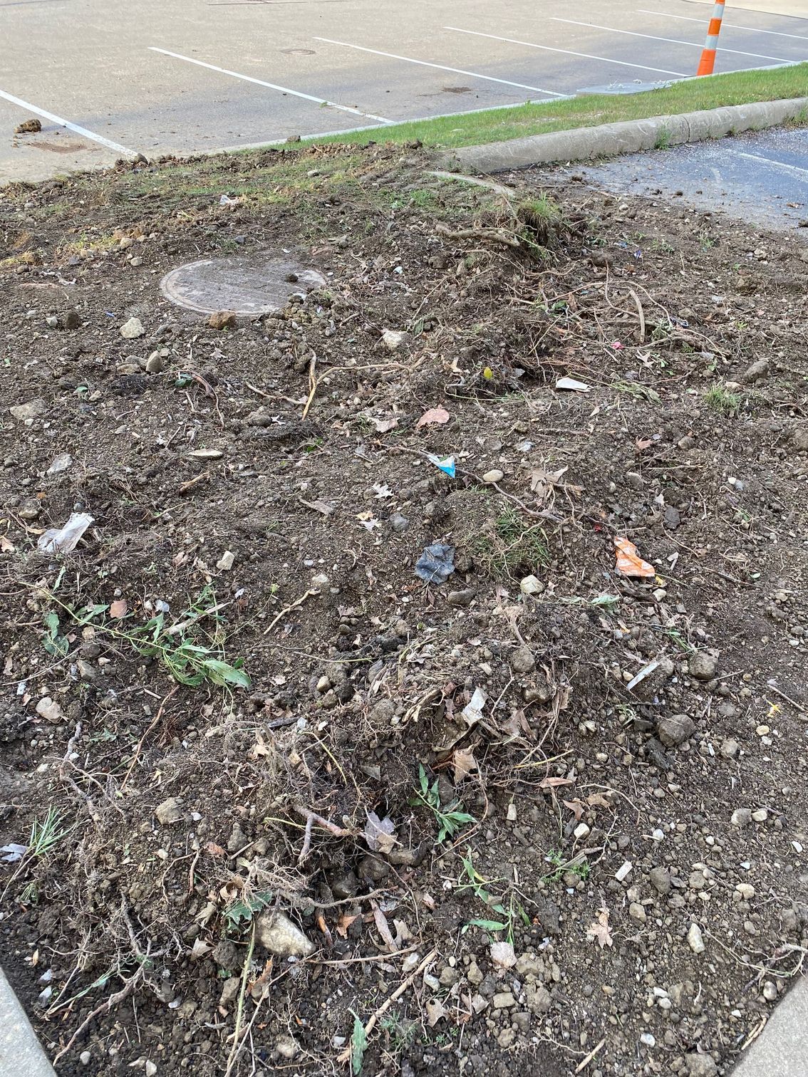 Mulched roadside planting bed with sparse weeds and litter beside a curb and parking lot