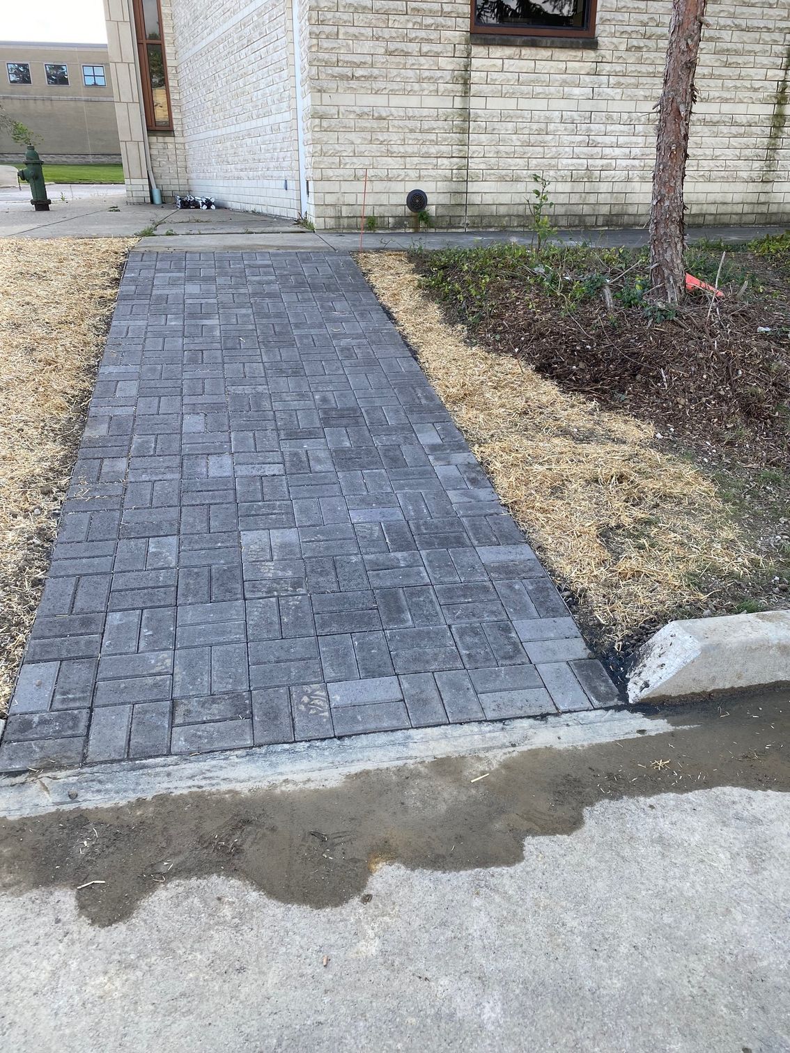 New gray brick walkway leading to a house entrance beside a landscaped bed and curb