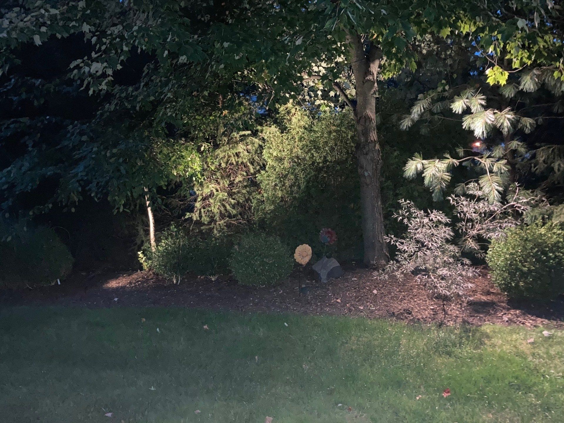 Dim garden with trees, shrubs, and a grassy lawn at dusk