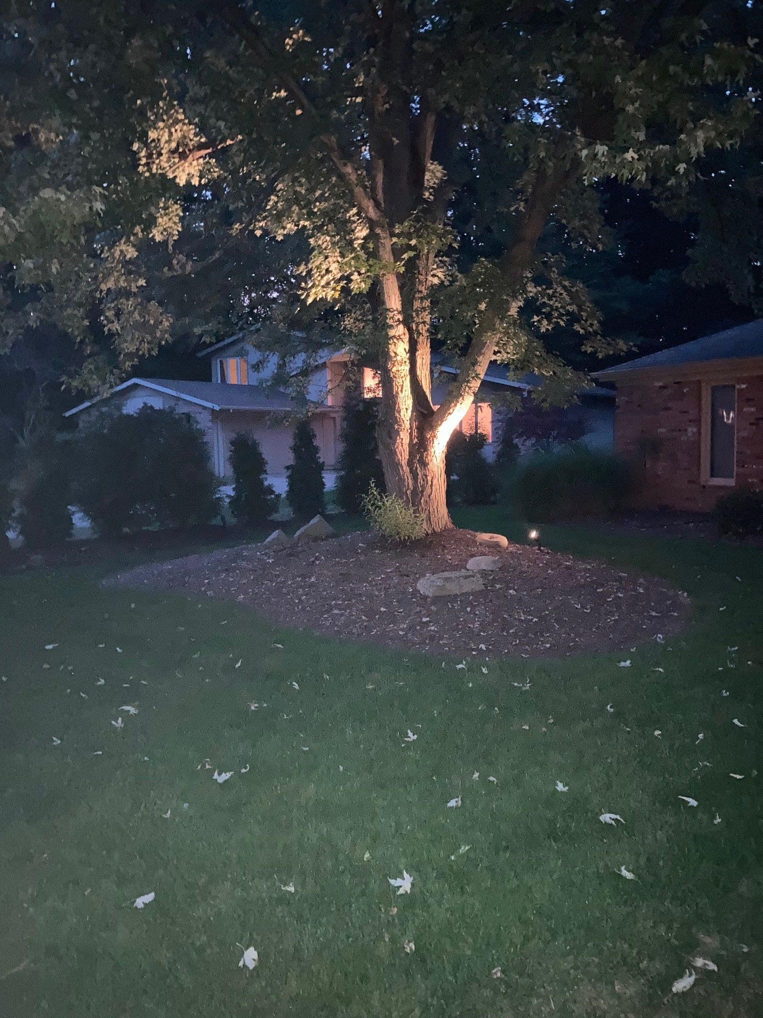 Front yard at night with a lit tree, lawn, and two houses in the background