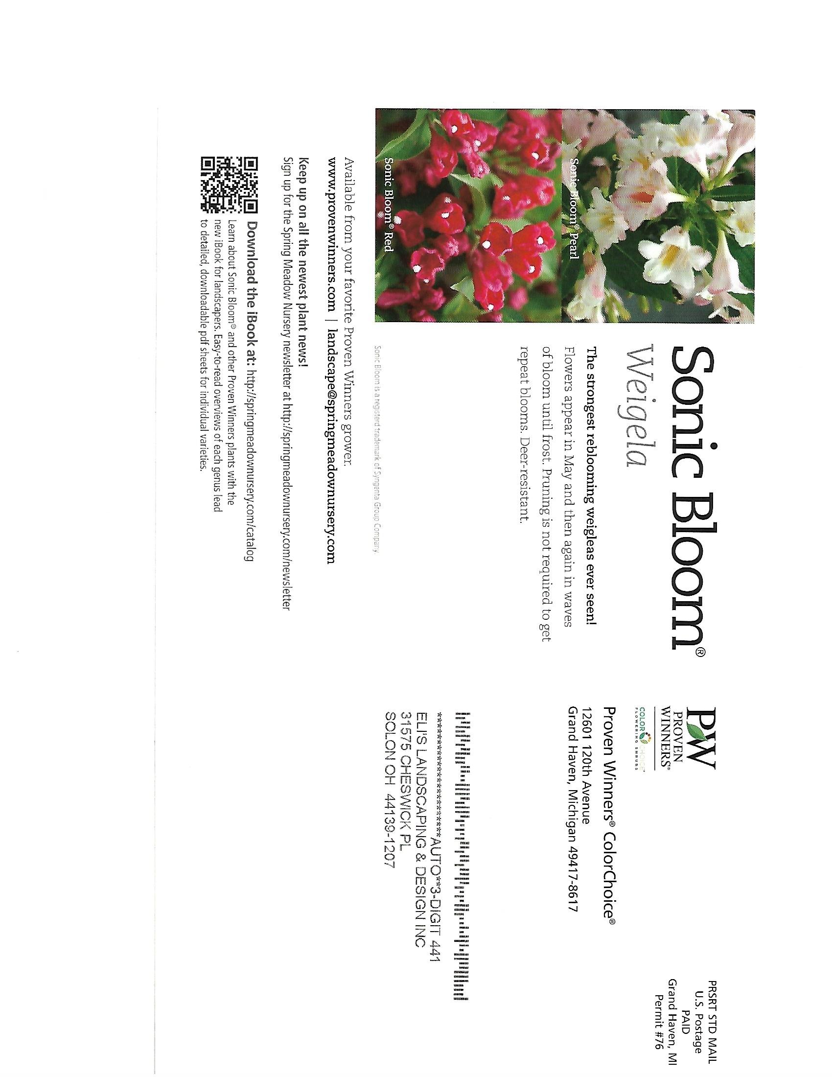 Rotated magazine page featuring flowers and the title “Sonic Bloom” with Japanese text.