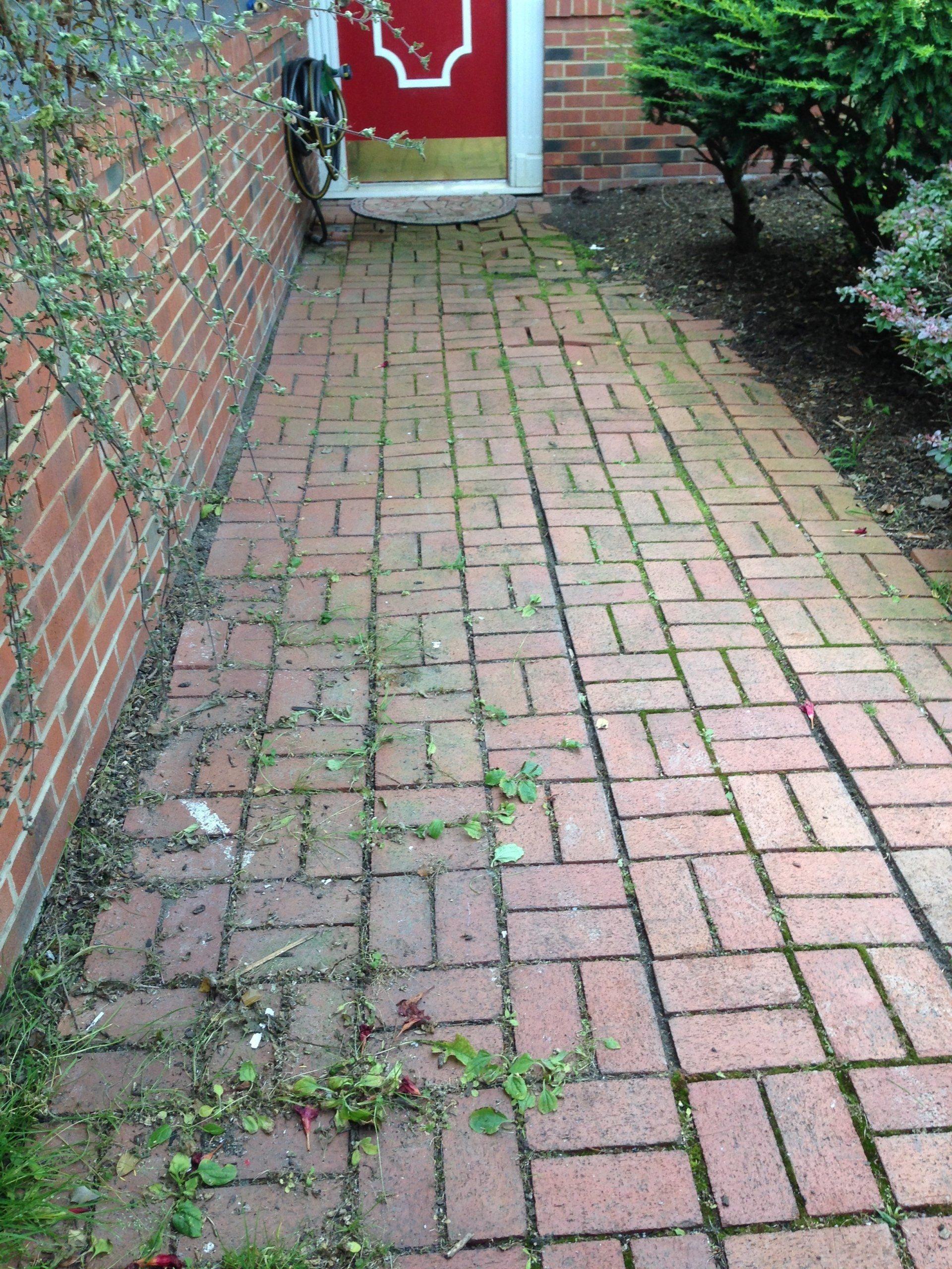 Brick walkway beside a red door and brick wall, with weeds growing between the pavers.