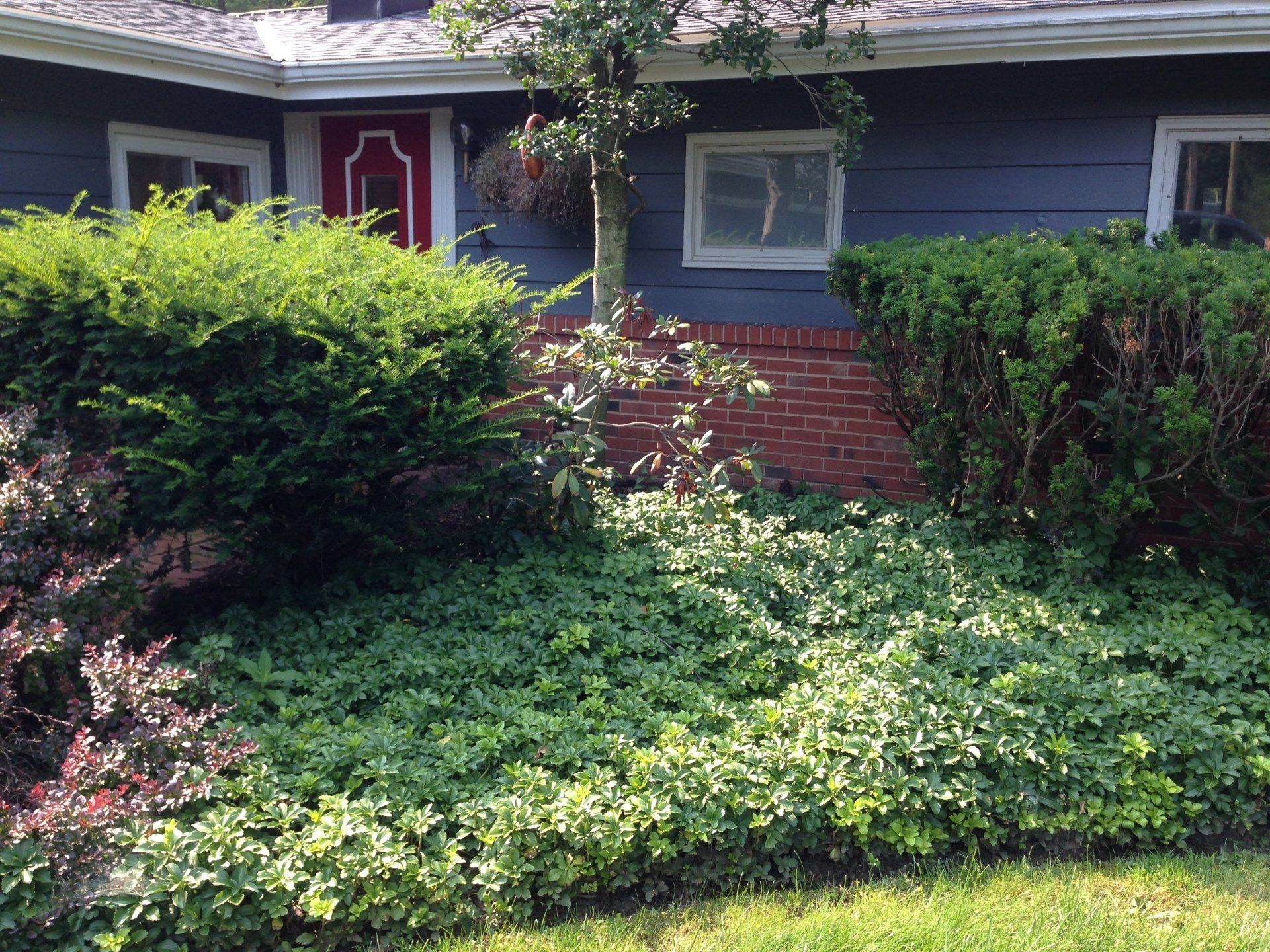 Front view of a blue house with a red door, brick steps, and a lush green garden