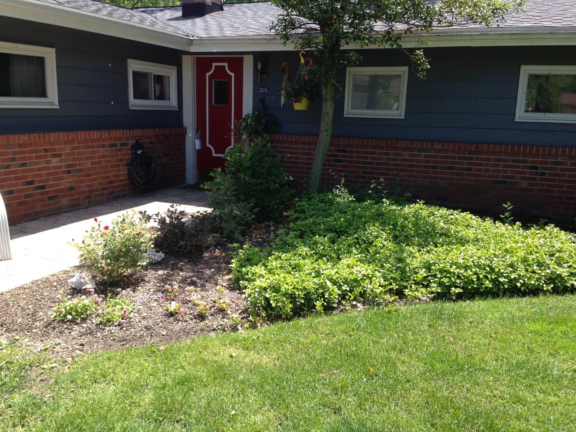 Blue house exterior with red door, brick lower wall, and landscaped front yard with green lawn and shrubs