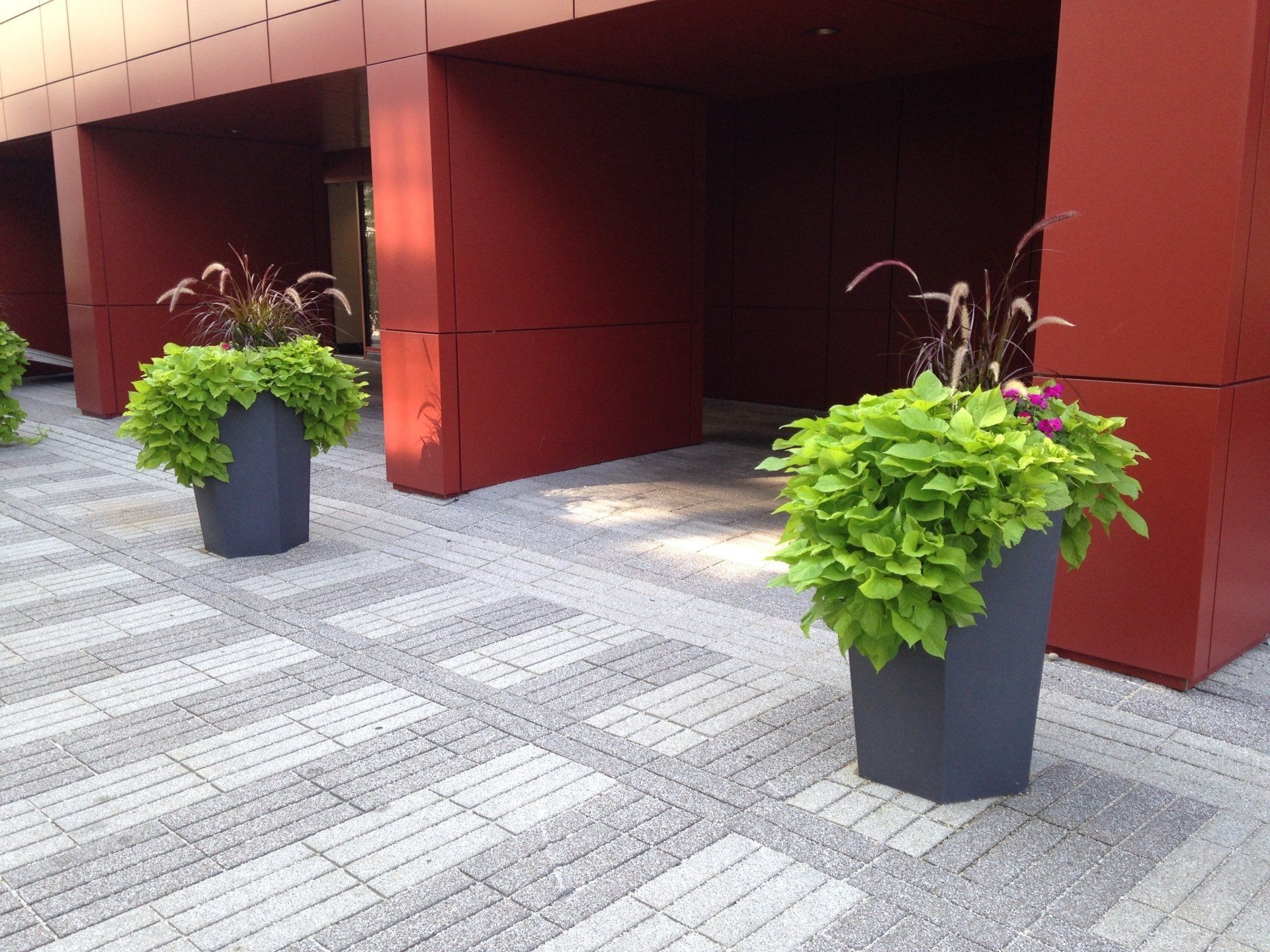 Two potted green plants on a gray tiled patio beside a red building