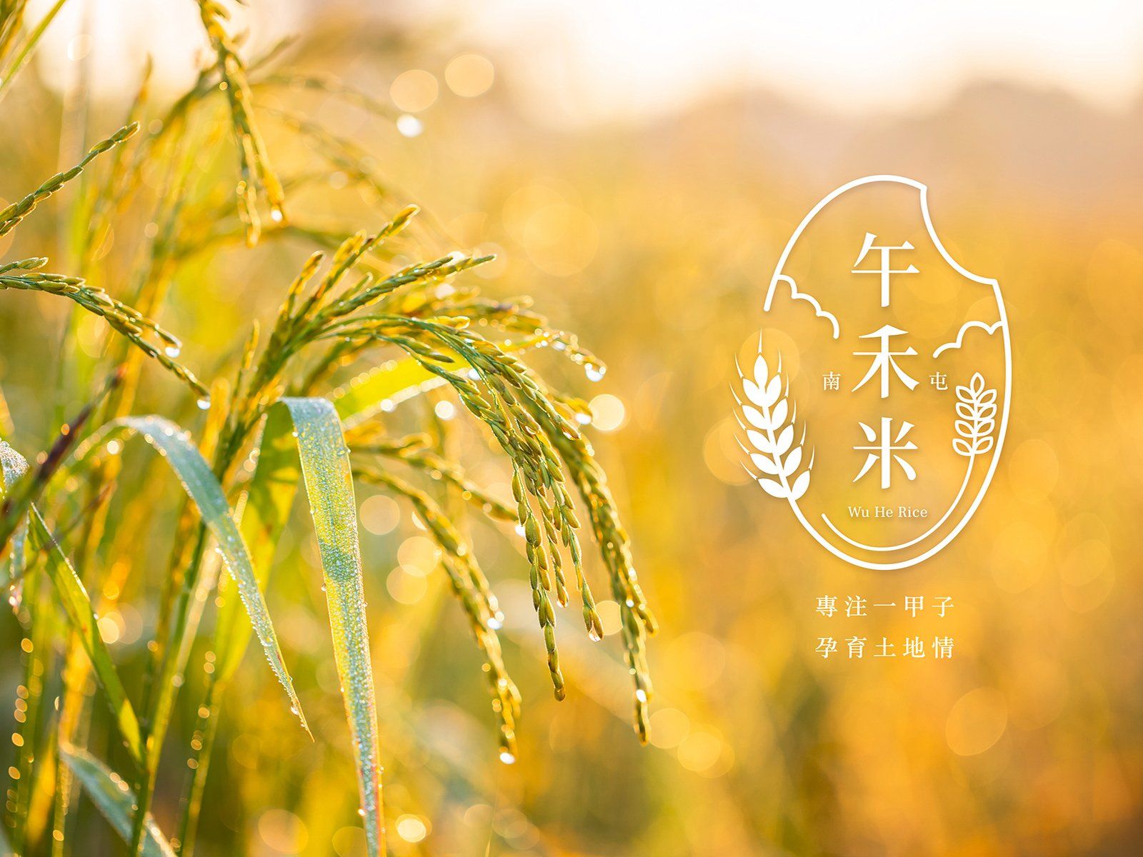 ▌用故事感情，拼搏品牌軟實力！ ​▌午禾米