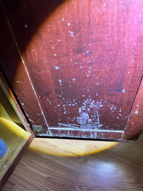 A close up of a white wall with black spots on it
