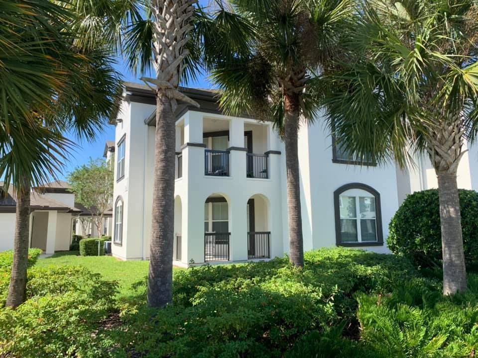 White two-story house with arched windows and tall palm trees in a sunny landscaped yard
