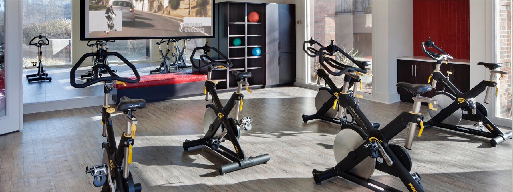 Indoor gym with several stationary exercise bikes and a treadmill near large windows.