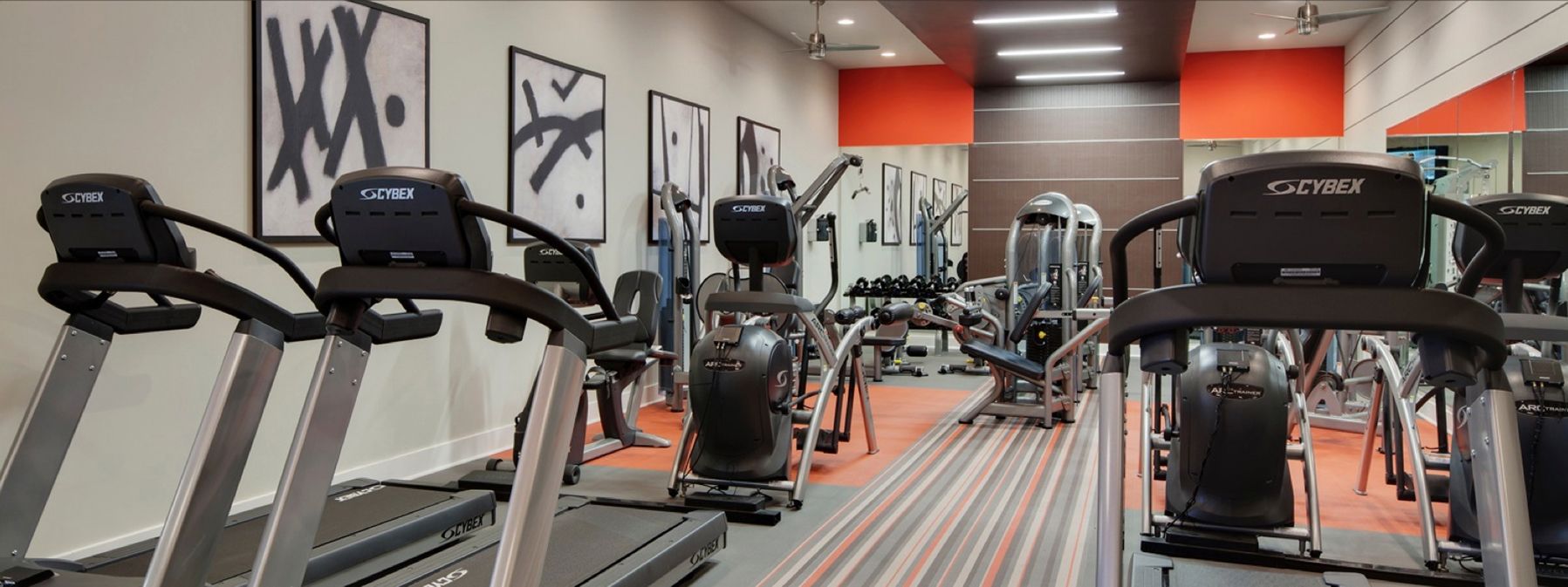 Modern gym interior with treadmills, exercise bikes, and weight machines under bright lighting