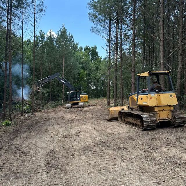 A couple of bulldozers are sitting in the middle of a forest.