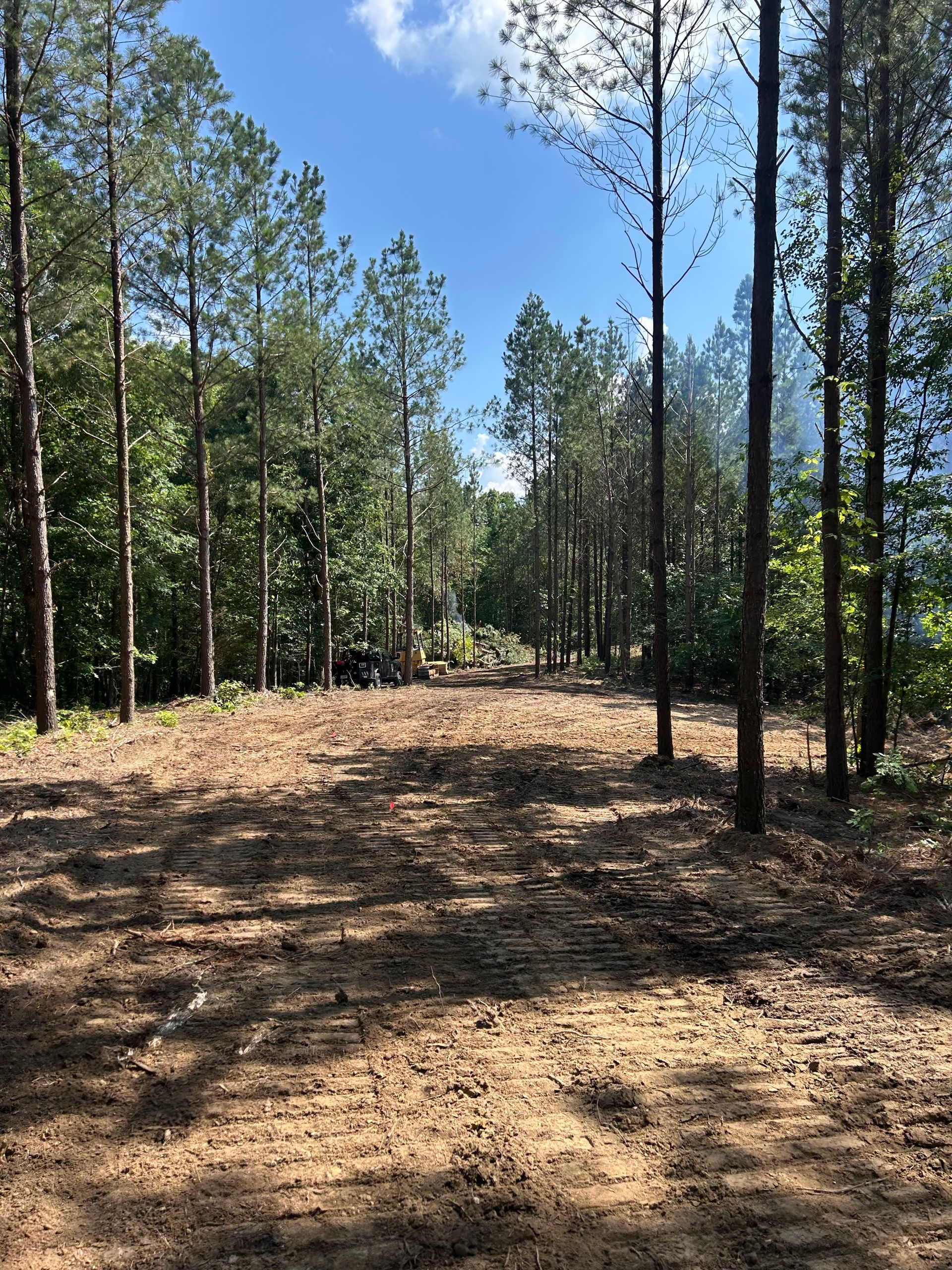 A dirt road in the middle of a forest on a sunny day.