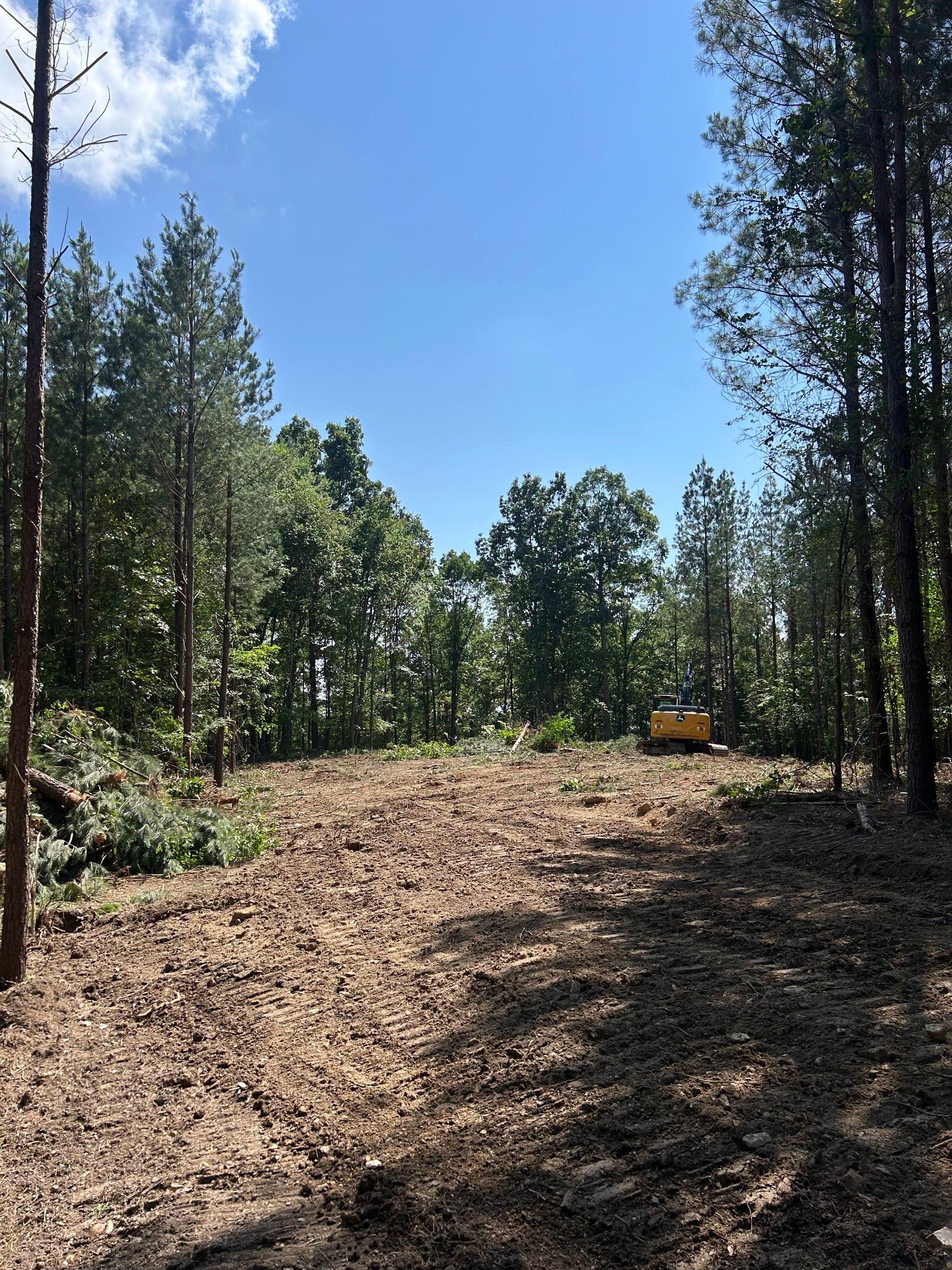A tractor is cutting down trees in a forest on a sunny day.