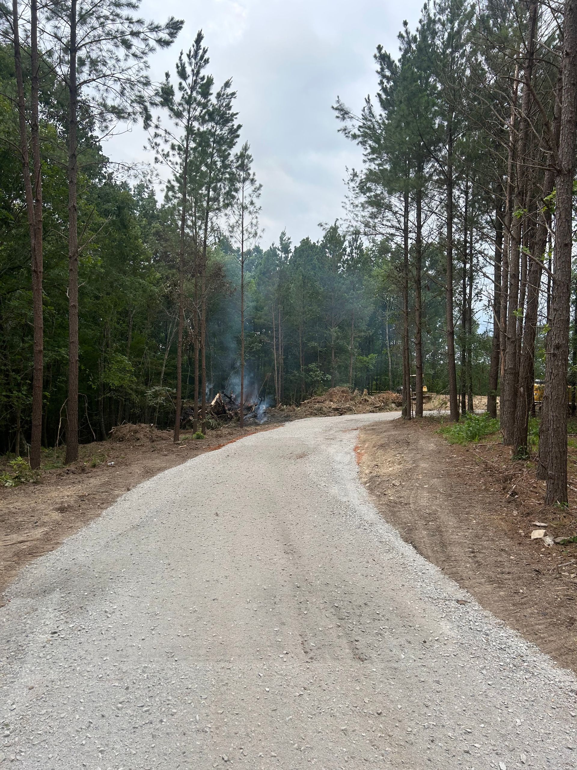 A gravel road going through a forest with trees on both sides