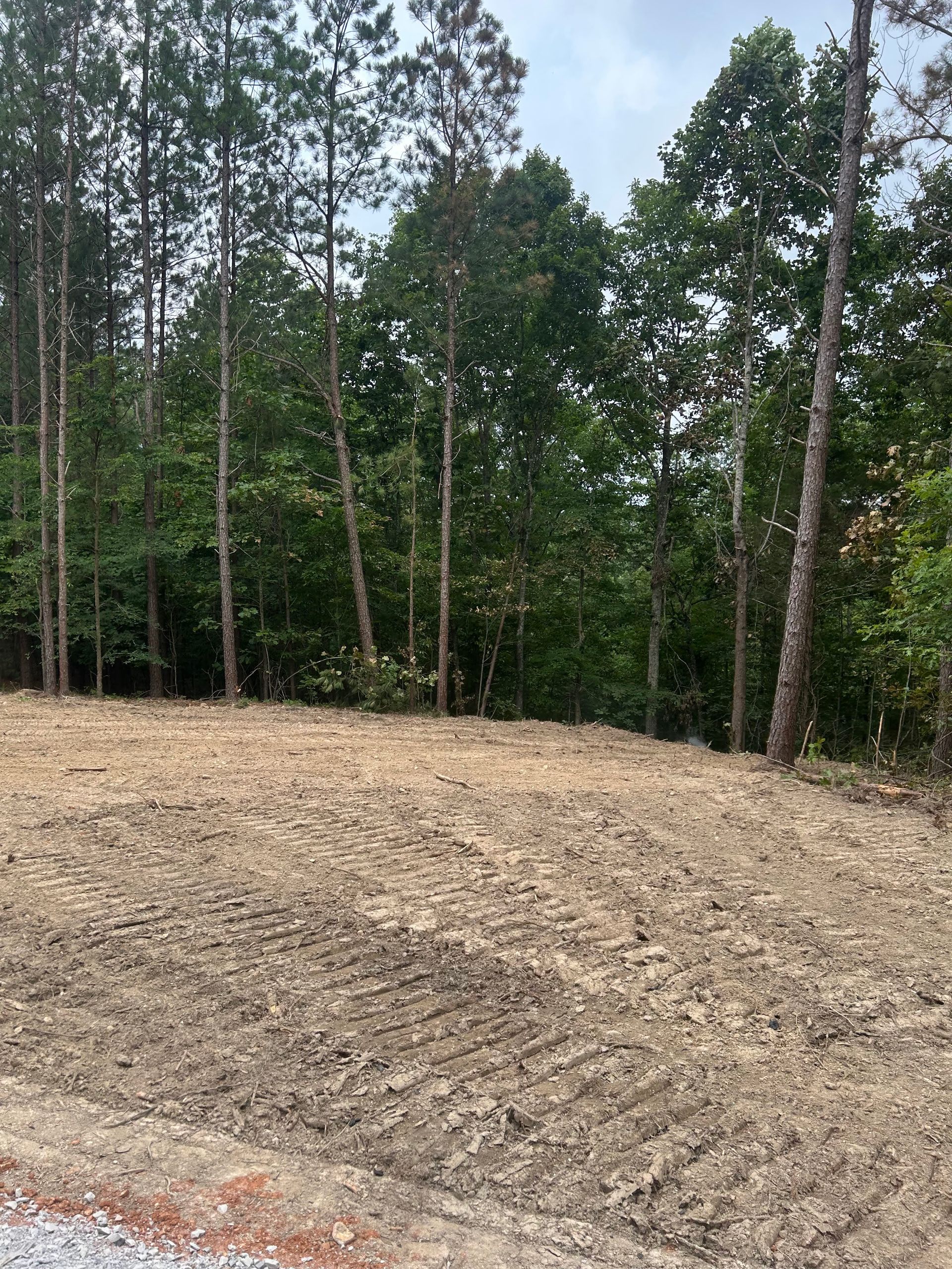 A dirt field with trees in the background.