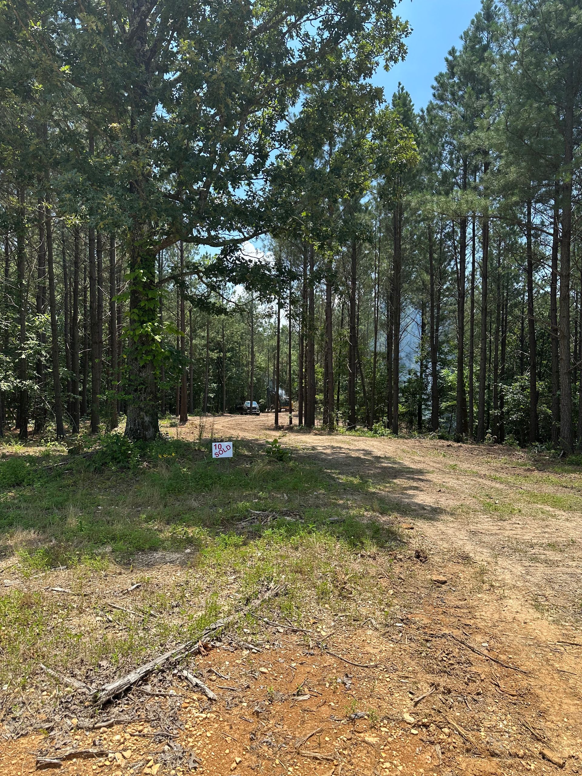 A dirt road in the middle of a forest surrounded by trees.