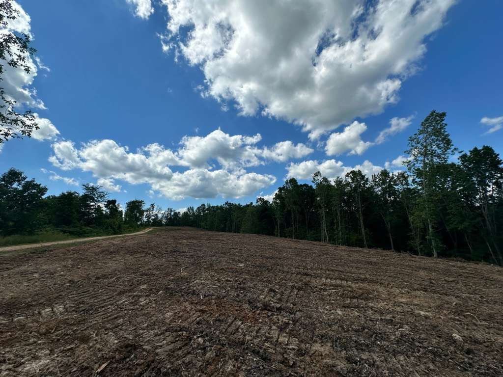 A large dirt field with trees in the background and a bulldozer in the foreground.