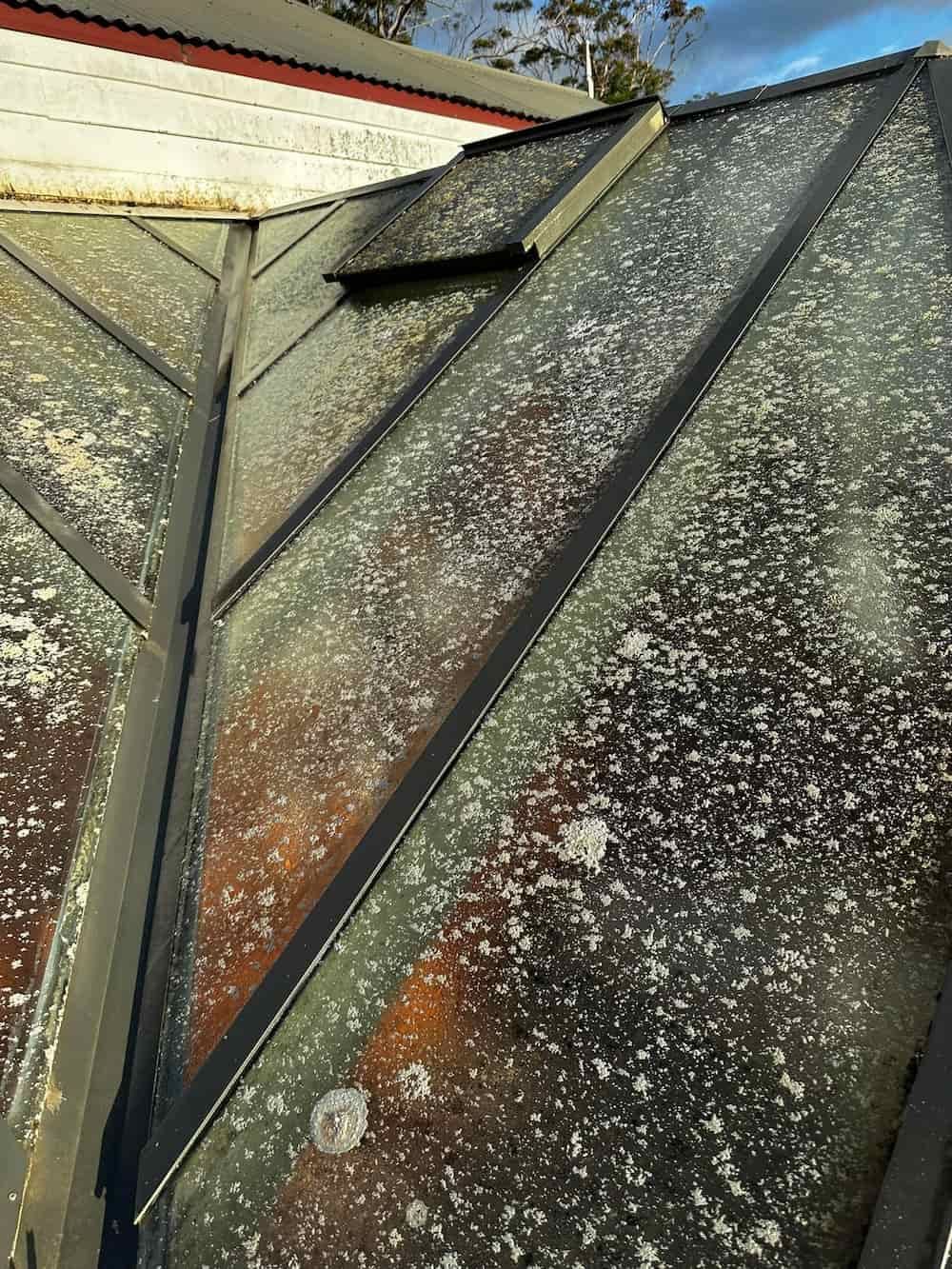 Dirty house exterior — Lighthouse pressure washing in Bonny Hills, NSW