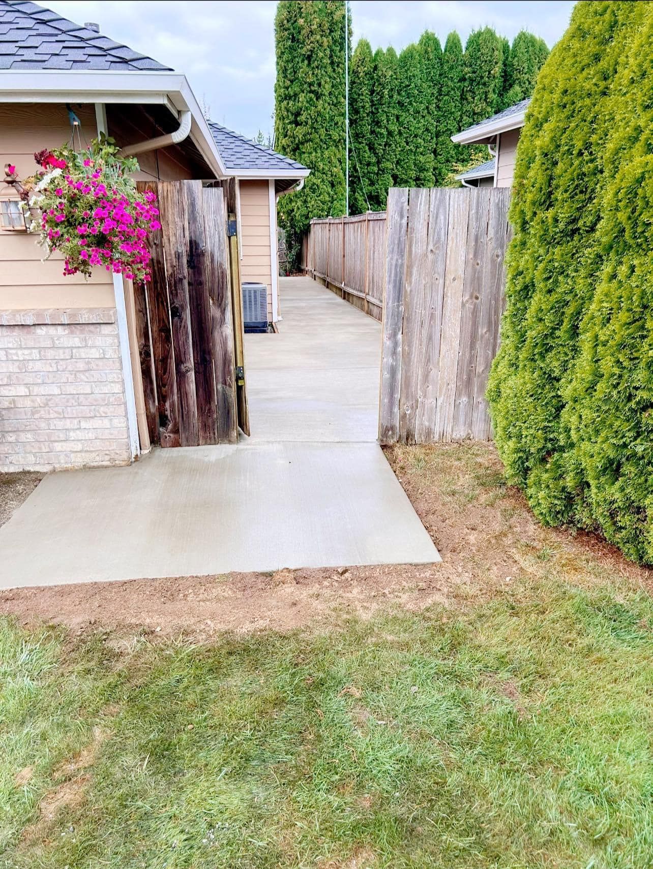 Concrete walkway bordered by grass and wooden fences, leading between houses.