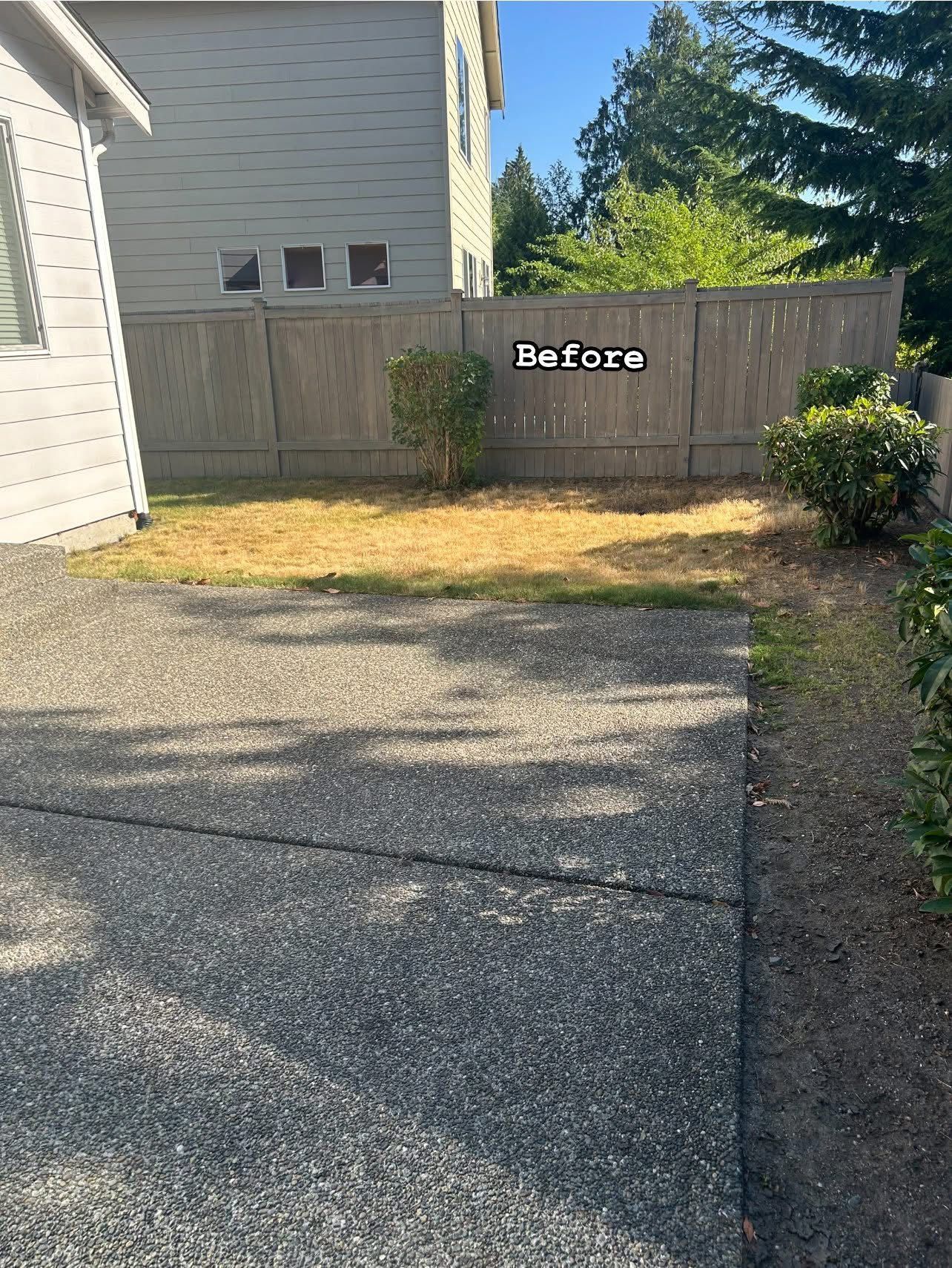Before: A backyard with brown grass, concrete patio, and a wooden fence.