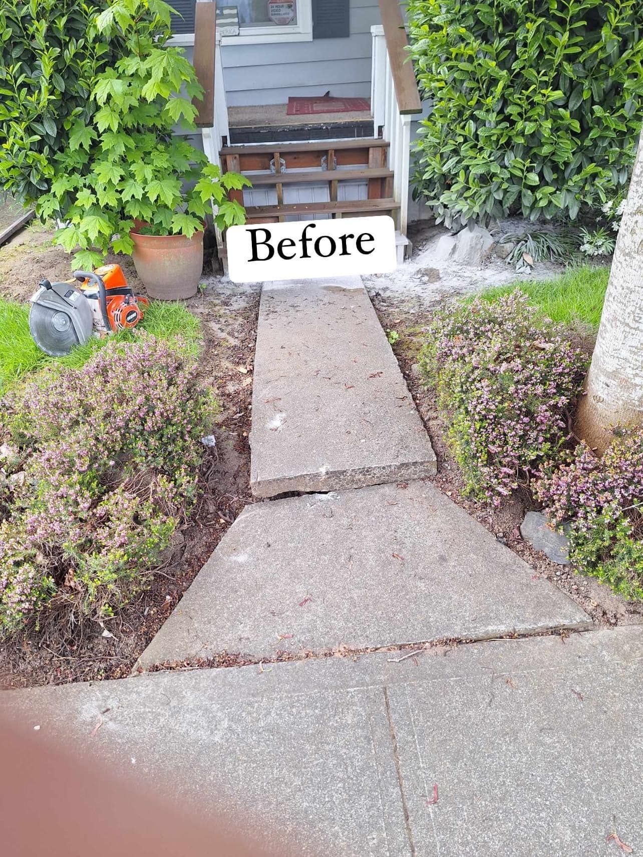 Cracked concrete walkway leading to stairs of a house, flanked by bushes and grass. 
