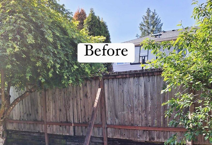 A weathered wooden fence with overgrown trees in front of a house. 