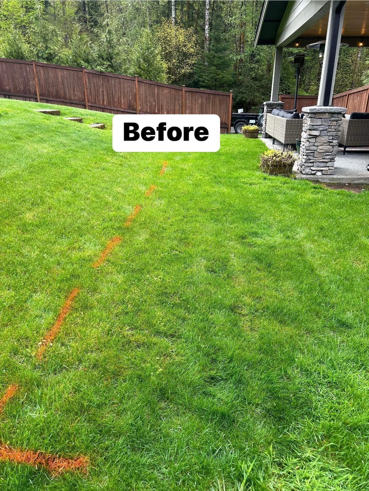 Green lawn before construction with orange spray paint marking a planned line.