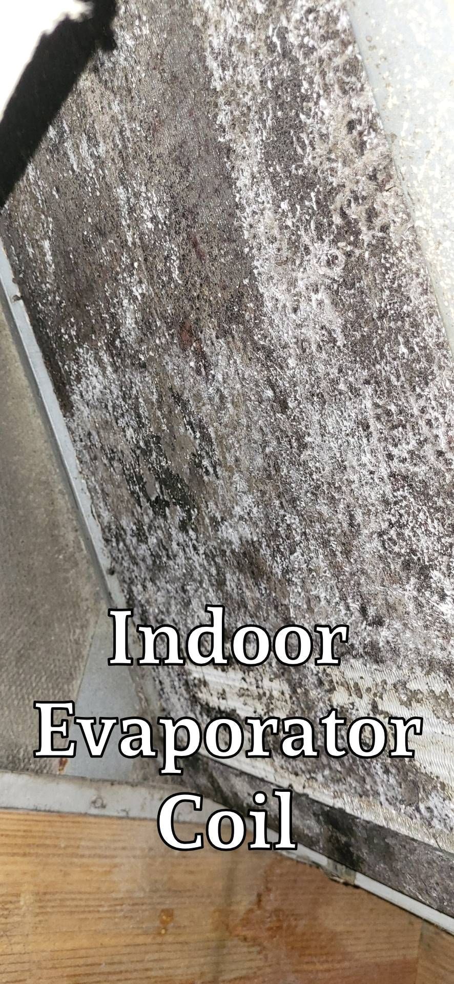 A picture of a dirty indoor evaporator coil.