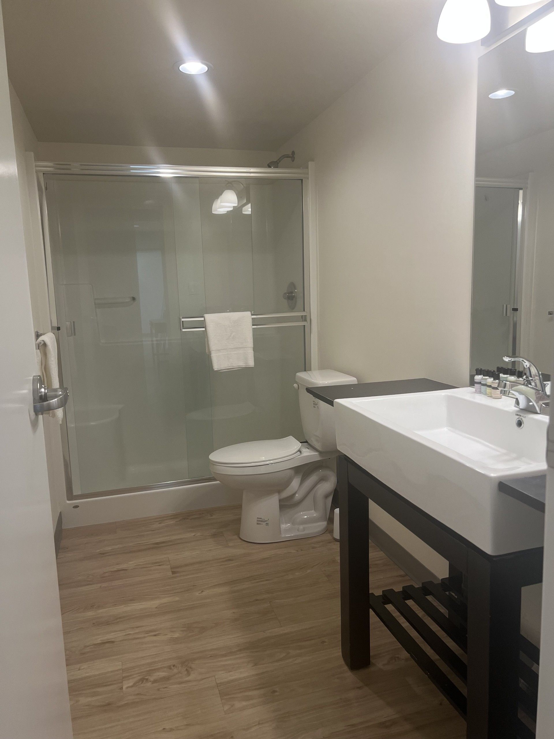 Bathroom with a glass shower, toilet, and a sink on a dark wood stand, light wood-look flooring.