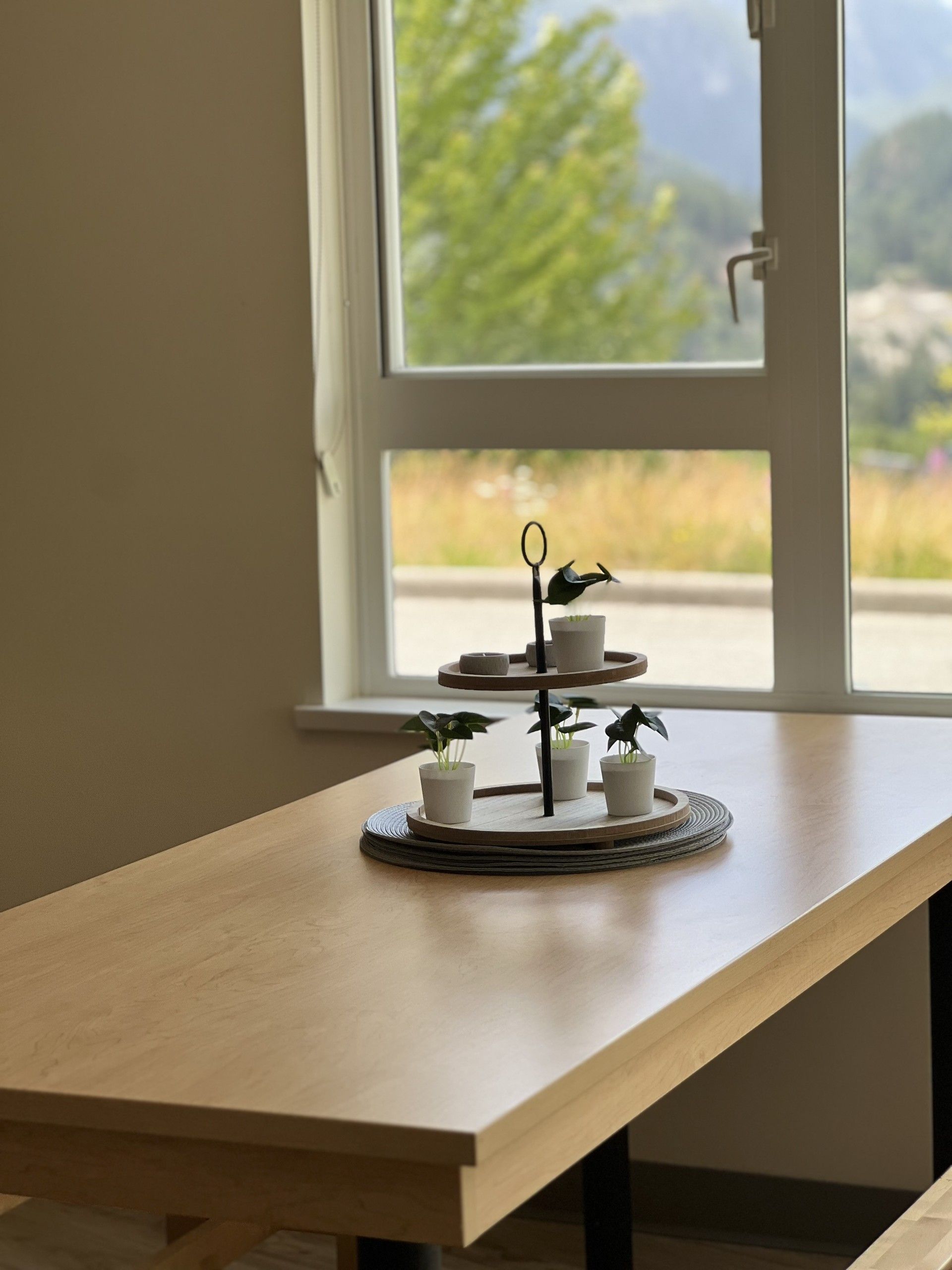Wooden table with tiered tray of potted plants in front of a window overlooking a mountain view.