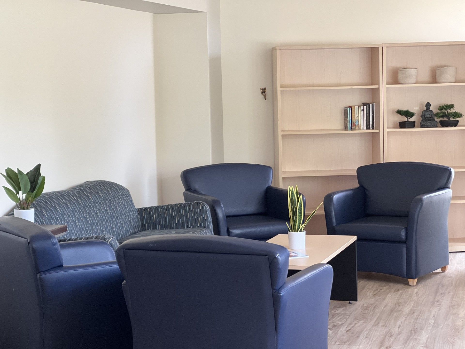 Cozy waiting area: blue armchairs, sofa, small table, bookshelf, plants, neutral walls, and natural light.